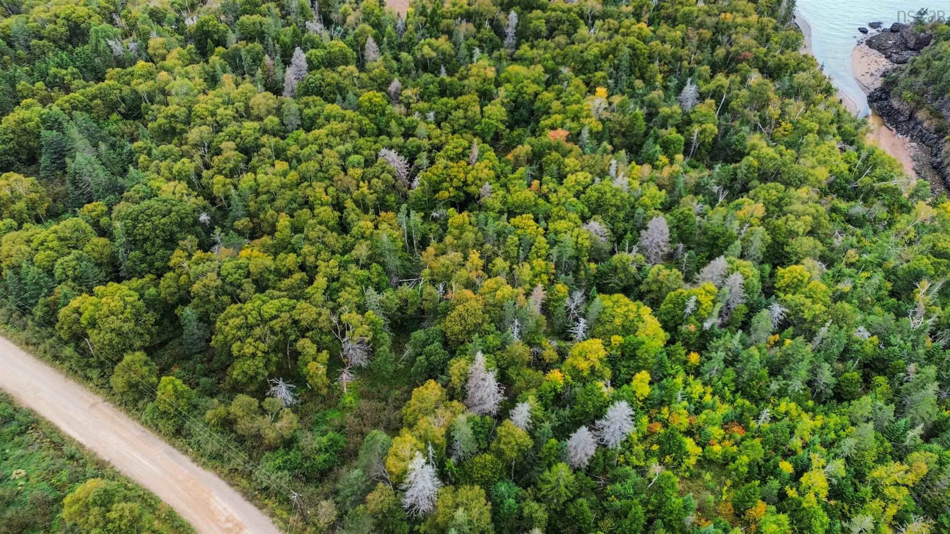 Old Baxter Mill Road, Baxters Harbour Ns B0p 1h0, ,Land,For Sale,Old Baxter Mill,202424134