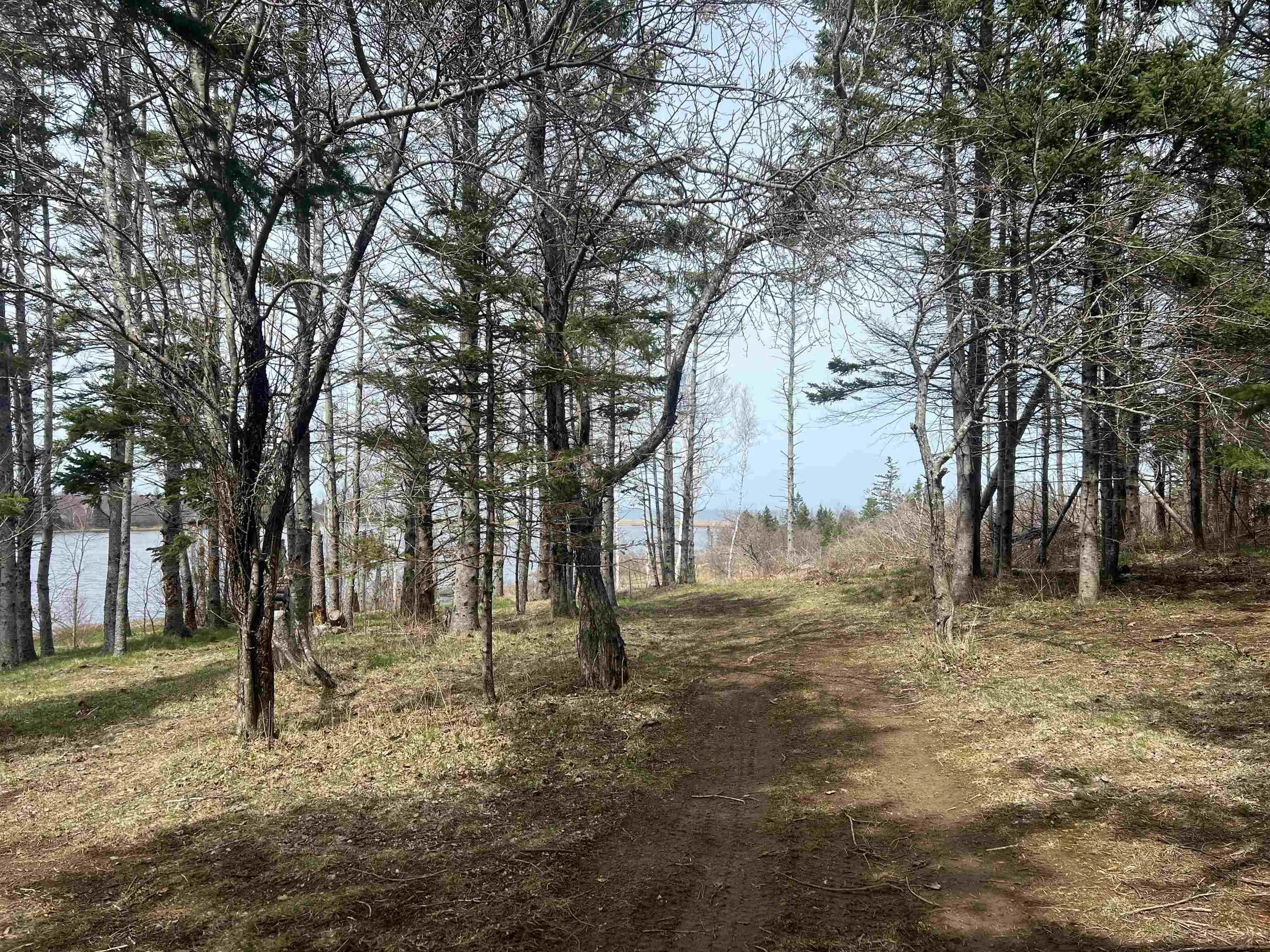 Galt Pond Lane, Ponds Ns B0k 1g0, ,Land,For Sale,Galt Pond,202509450