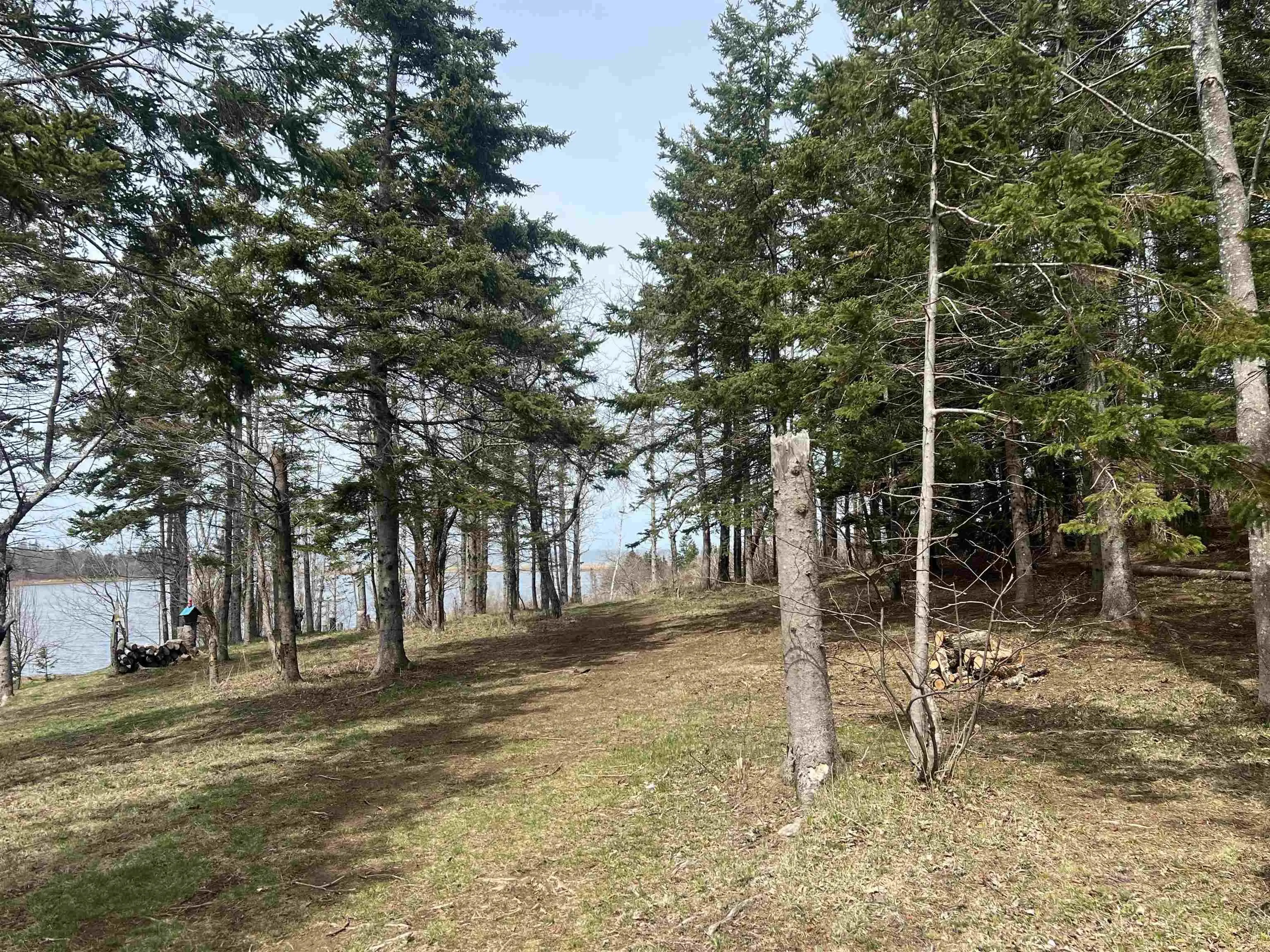 Galt Pond Lane, Ponds Ns B0k 1g0, ,Land,For Sale,Galt Pond,202509450