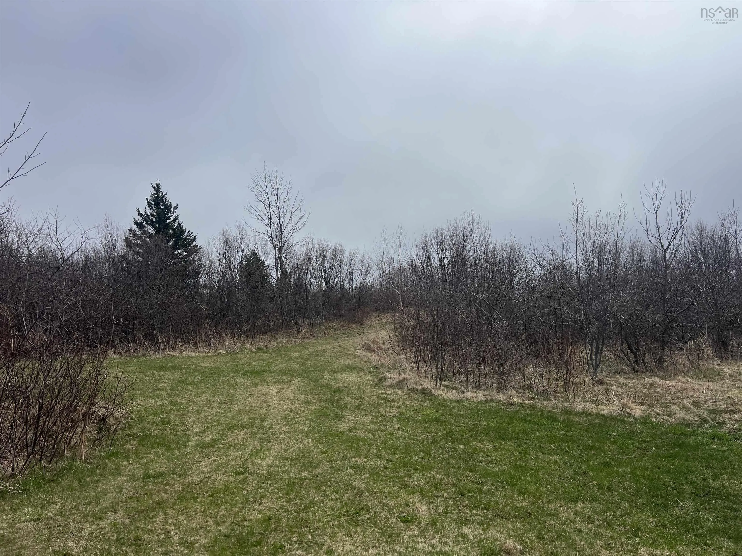 Galt Pond Lane, Ponds Ns B0k 1g0, ,Land,For Sale,Galt Pond,202509450