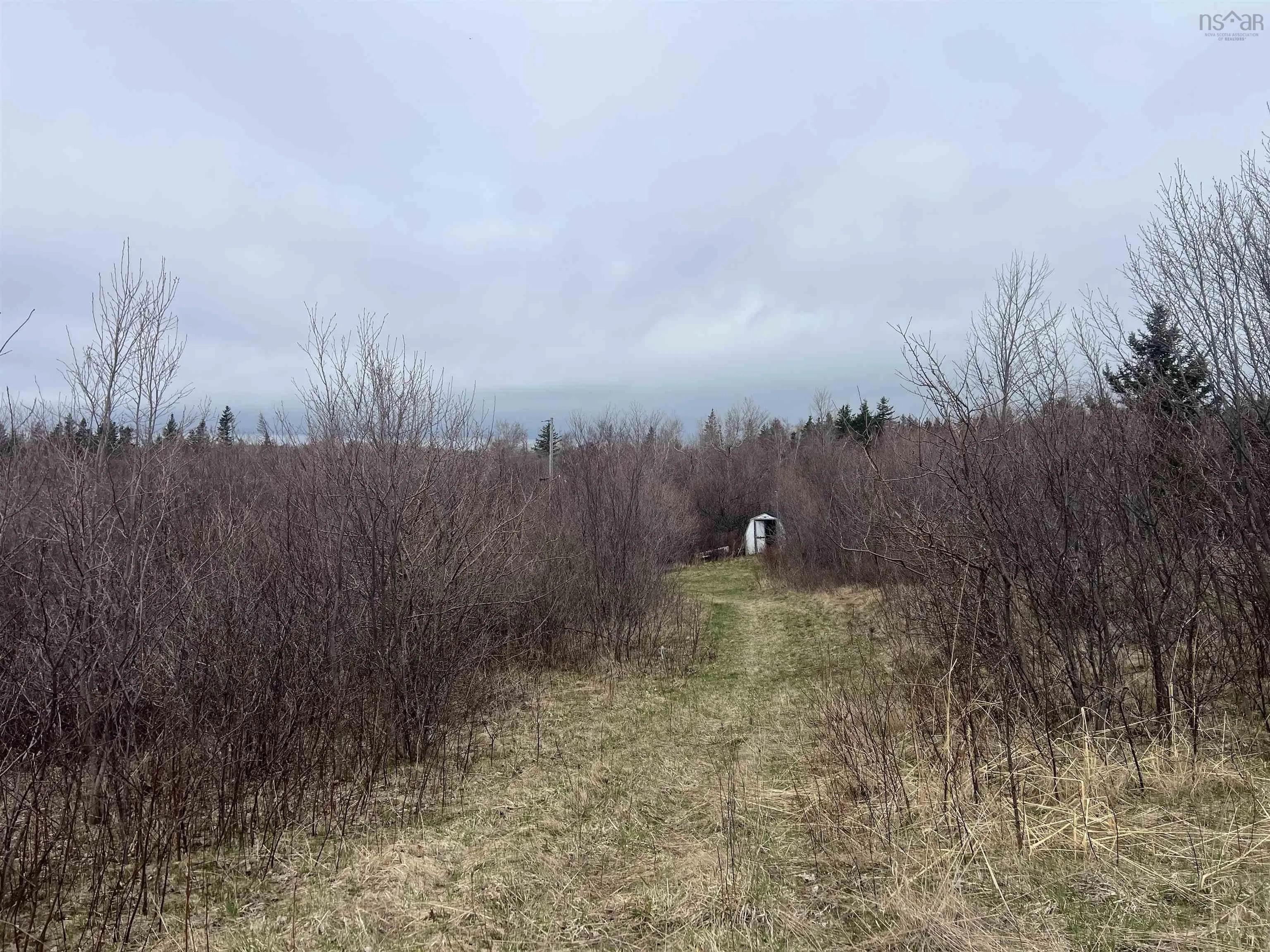 Galt Pond Lane, Ponds Ns B0k 1g0, ,Land,For Sale,Galt Pond,202509450