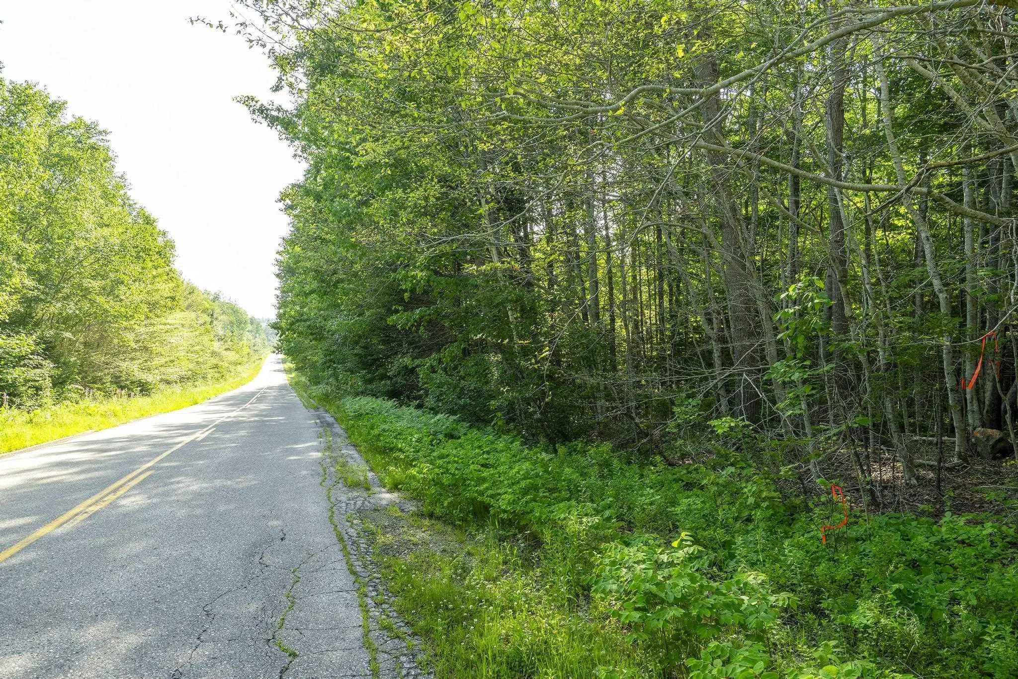 Hectanooga Road, Hectanooga Ns B5a 5l7, ,Land,For Sale,Hectanooga,202408830