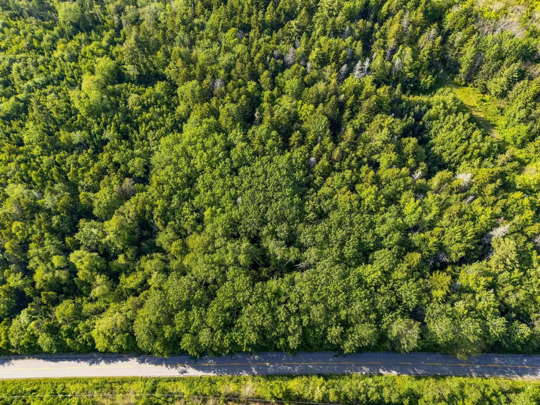 Hectanooga Road, Hectanooga Ns B5a 5l7, ,Land,For Sale,Hectanooga,202408830