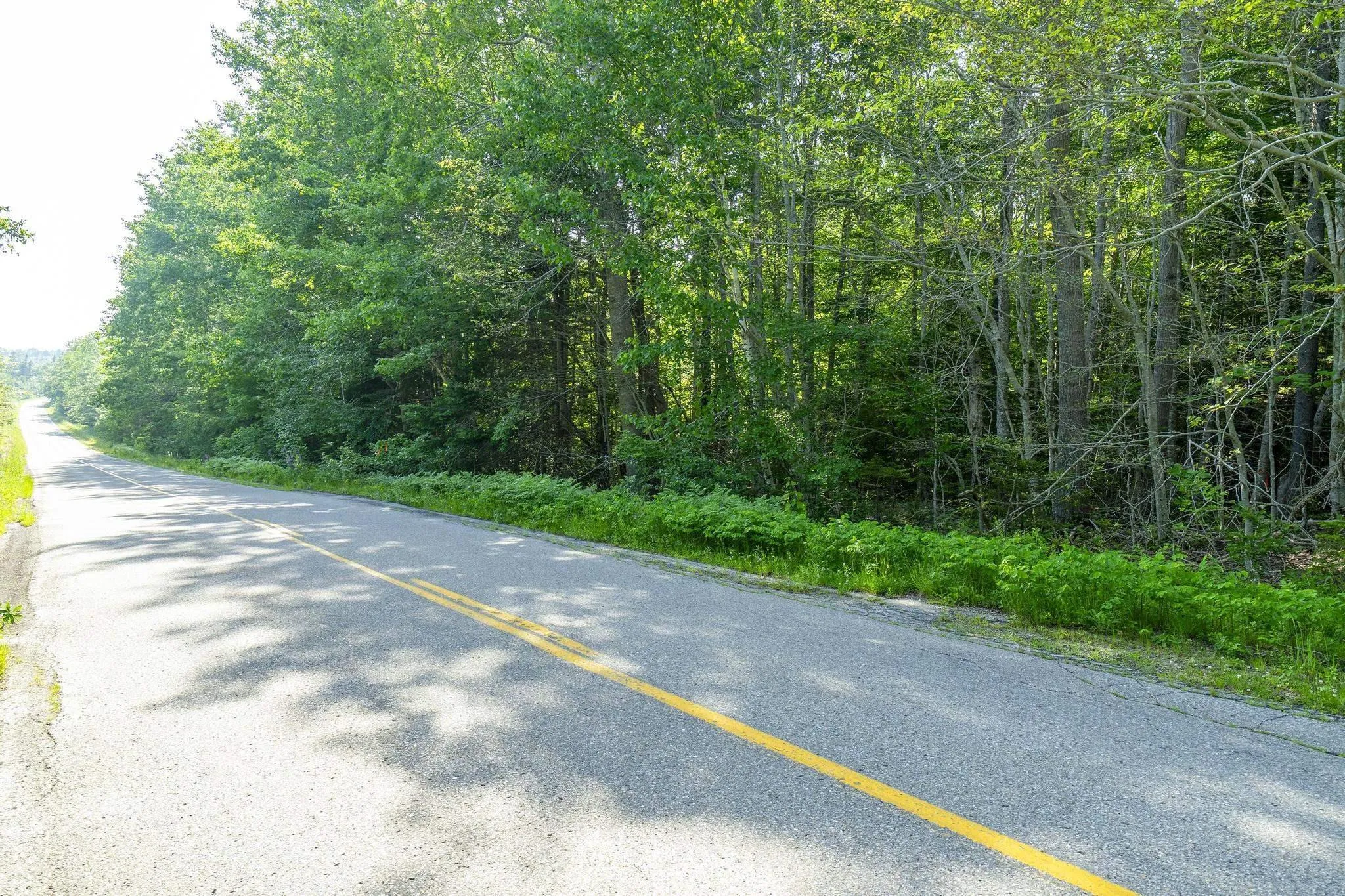 Hectanooga Road, Hectanooga Ns B5a 5l7, ,Land,For Sale,Hectanooga,202408830