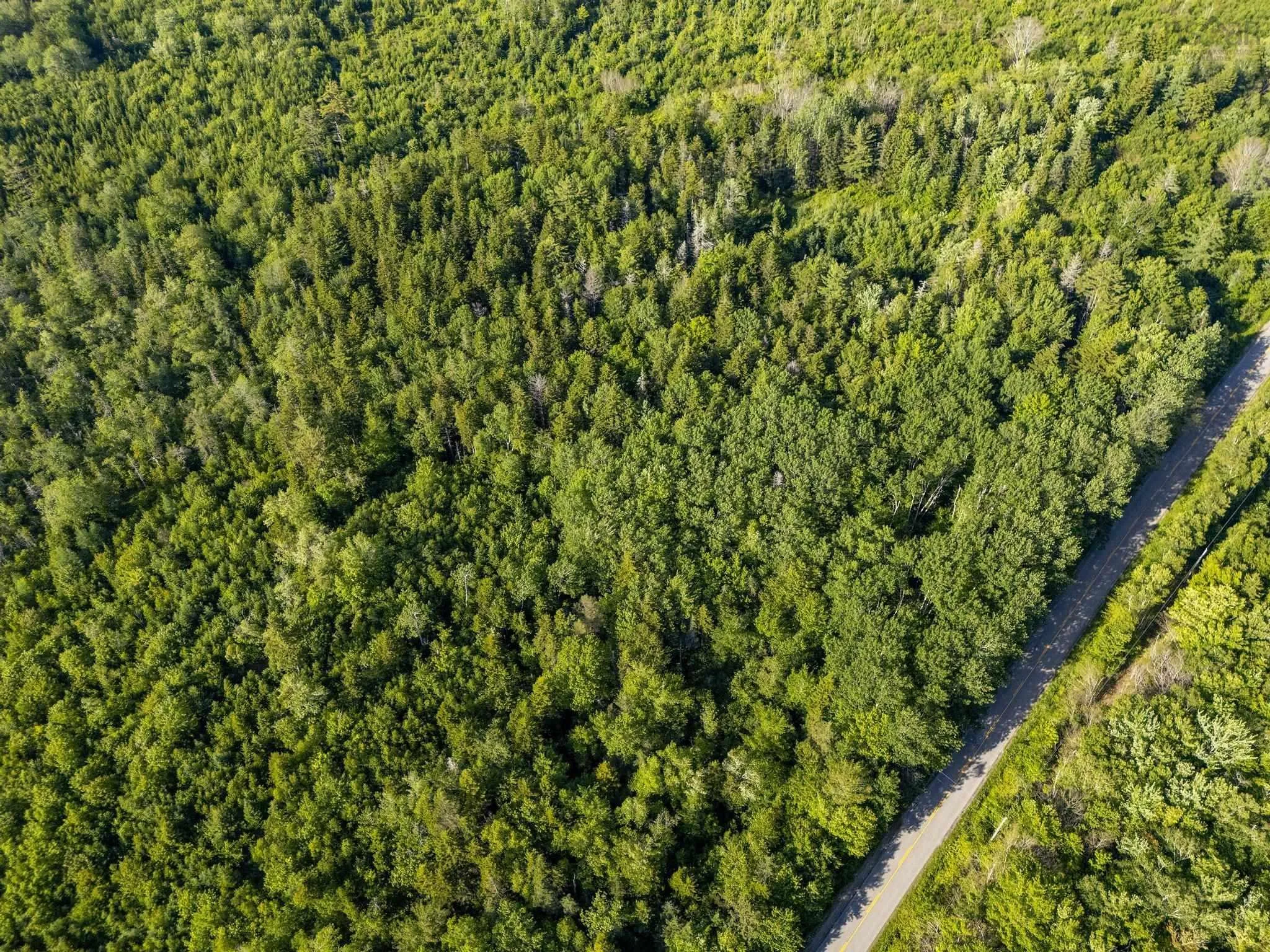 Hectanooga Road, Hectanooga Ns B5a 5l7, ,Land,For Sale,Hectanooga,202408830