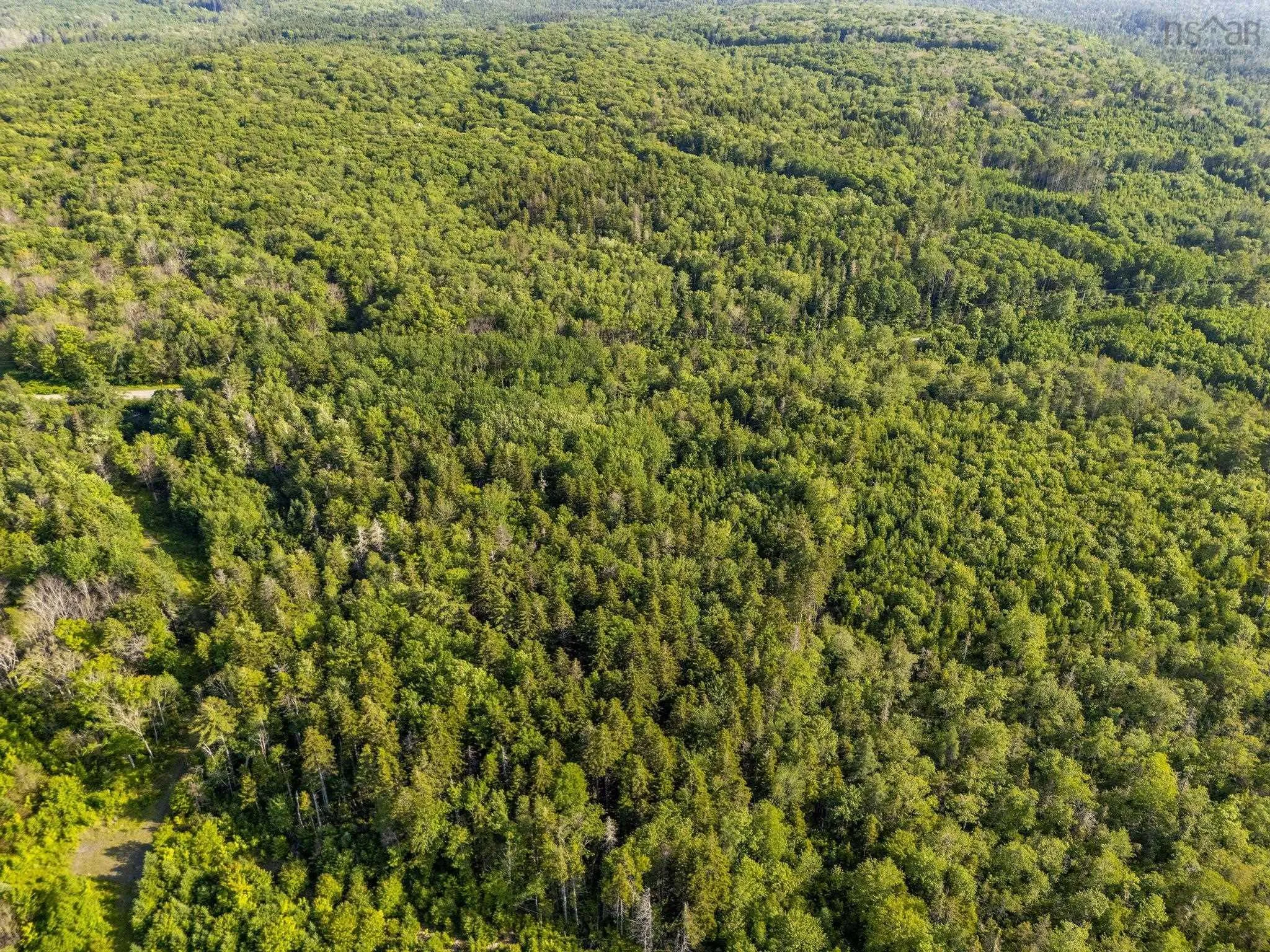 Hectanooga Road, Hectanooga Ns B5a 5l7, ,Land,For Sale,Hectanooga,202408830