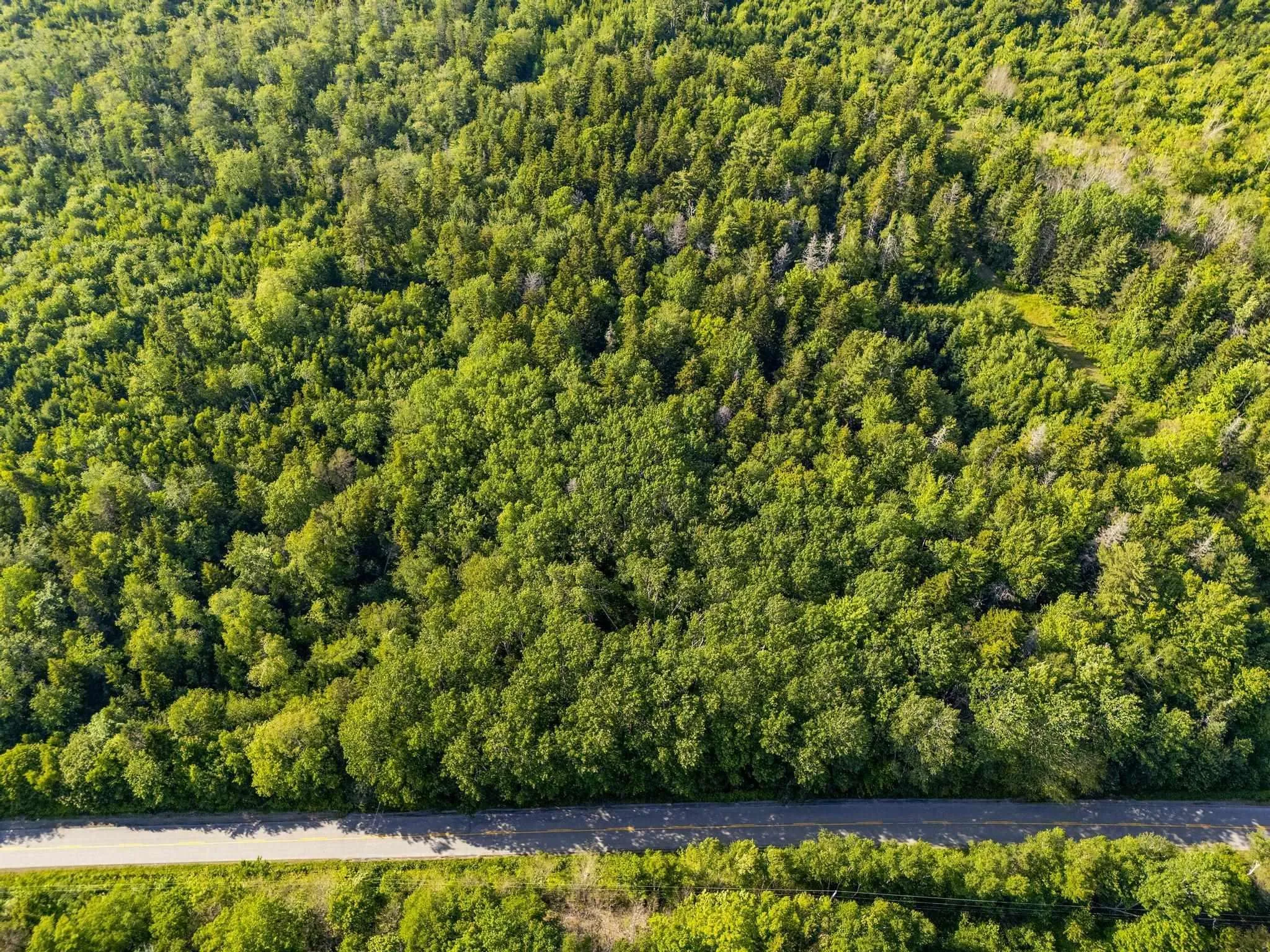 Hectanooga Road, Hectanooga Ns B5a 5l7, ,Land,For Sale,Hectanooga,202408830