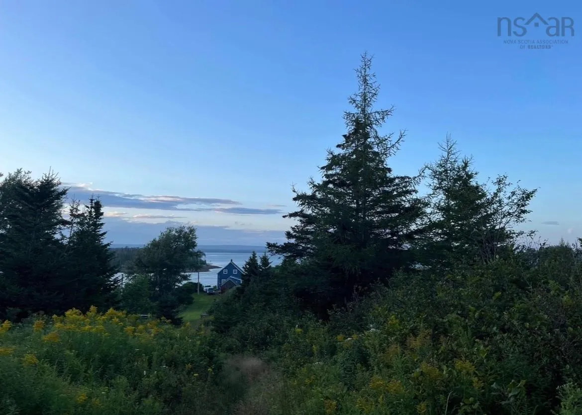 2804 Highway 320, Poulamon, NS B0E 1K0, 3 Bedrooms Bedrooms, ,2 BathroomsBathrooms,Residential,For Sale,Highway 320,202517601