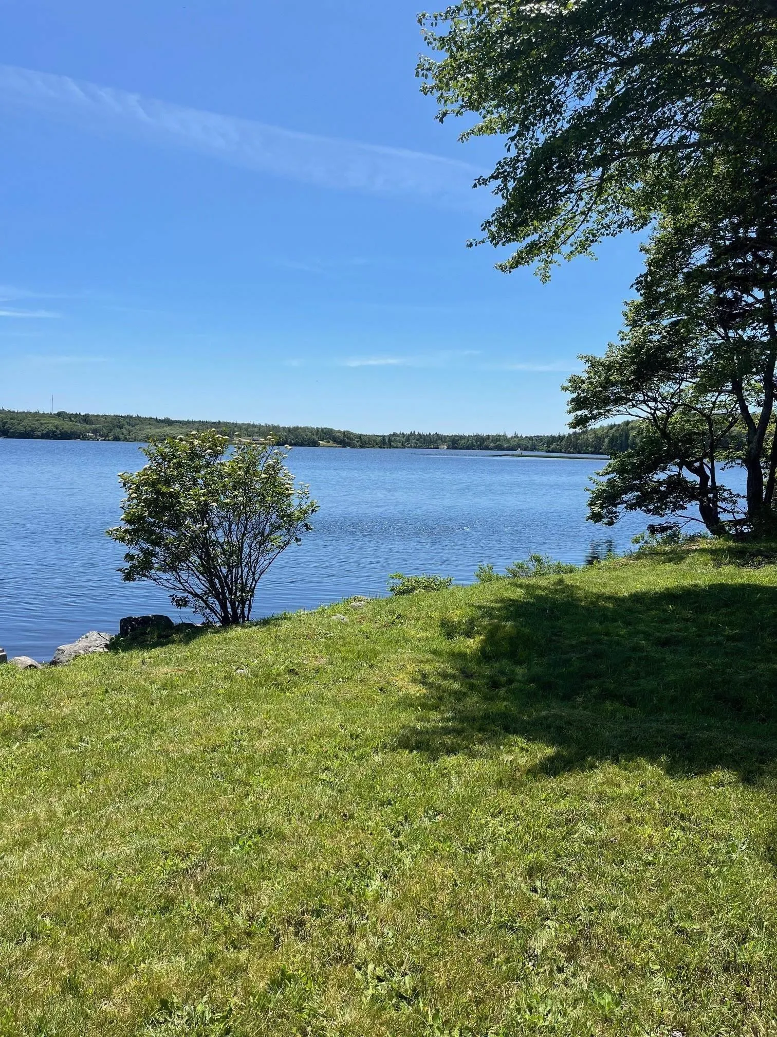 252 Brushes Lane, Richmond, NS B5A 5S3, 2 Bedrooms Bedrooms, ,1 BathroomBathrooms,Residential,For Sale,Brushes,202510914