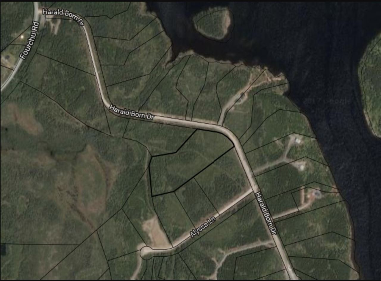 Lot 9 Harald Born Drive, Belfry Lake NS B1K 3P2, ,Land,For Sale,Harald Born,202000946