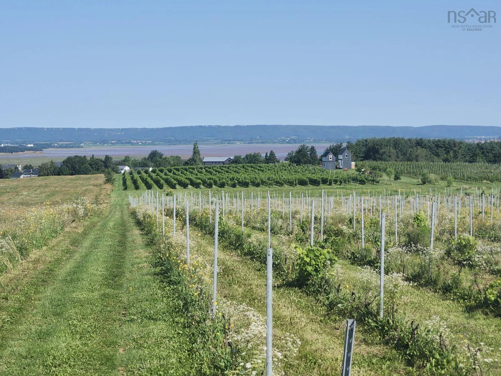 Maple Ridge Road Lot 2024, Lower Wolfville Ns B4p 2r1, ,Land,For Sale,Maple Ridge,202419806
