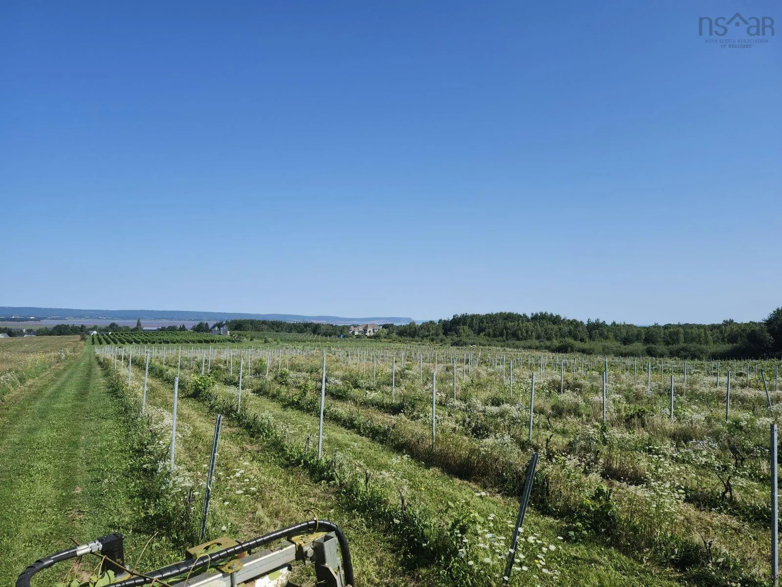 Maple Ridge Road Lot 2024, Lower Wolfville Ns B4p 2r1, ,Land,For Sale,Maple Ridge,202419806