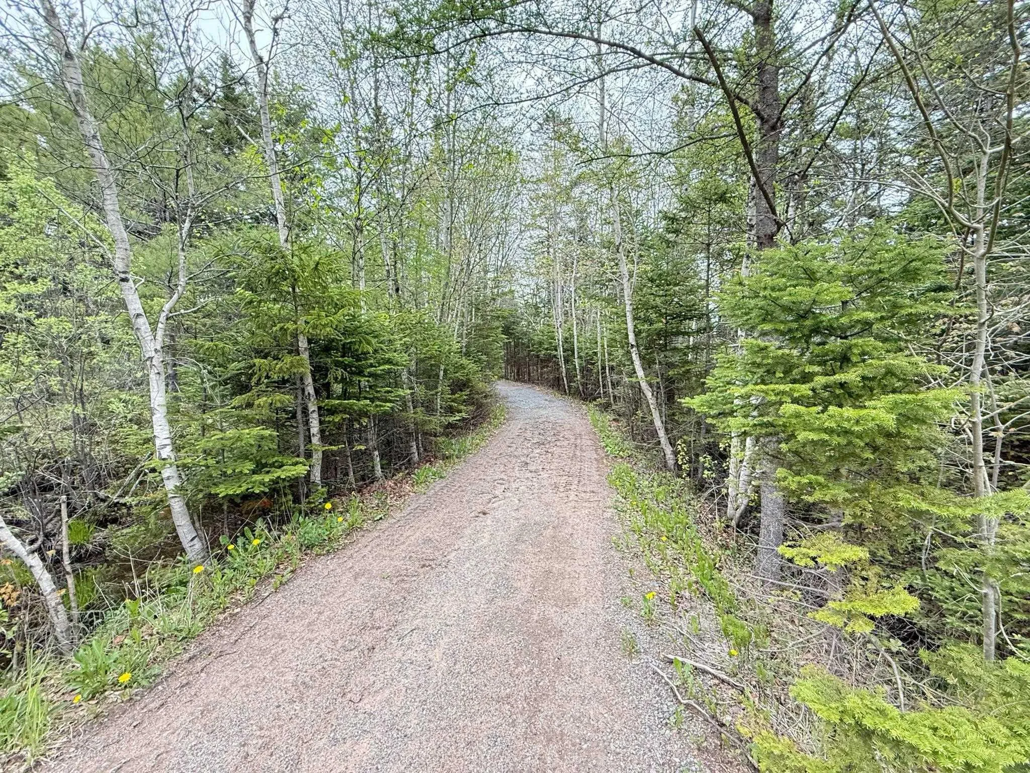 401 Highway, Mount Uniacke, NS B0S 1B0, 2 Bedrooms Bedrooms, ,3 BathroomsBathrooms,Residential,For Sale,Highway 1,202513085