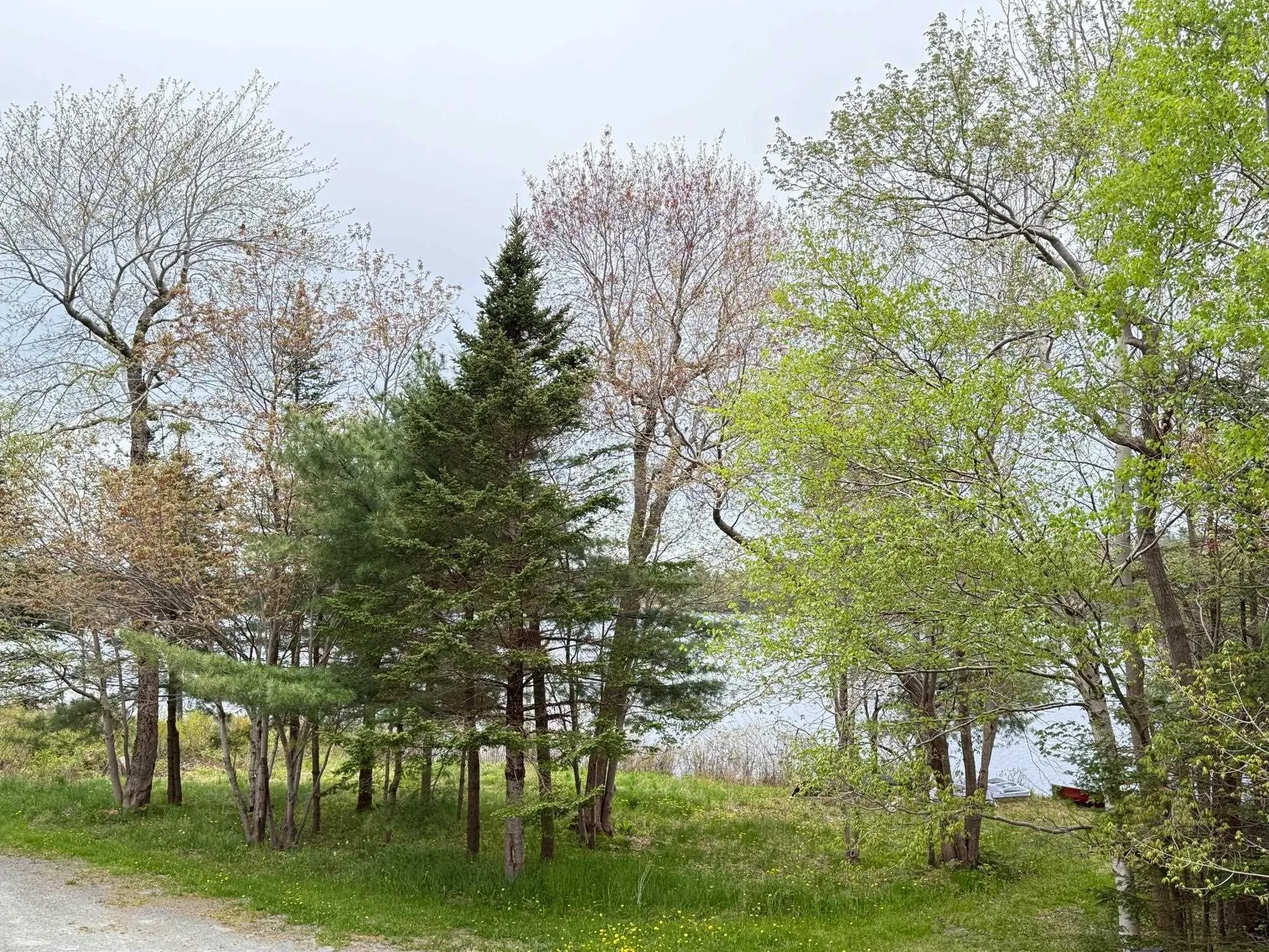 401 Highway, Mount Uniacke, NS B0S 1B0, 2 Bedrooms Bedrooms, ,3 BathroomsBathrooms,Residential,For Sale,Highway 1,202513085