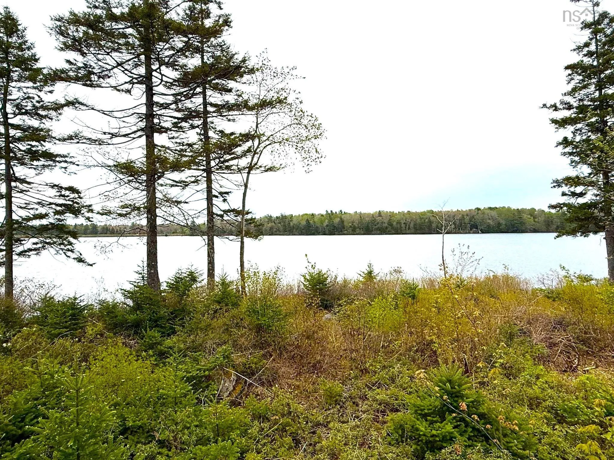 401 Highway, Mount Uniacke, NS B0S 1B0, 2 Bedrooms Bedrooms, ,3 BathroomsBathrooms,Residential,For Sale,Highway 1,202513085