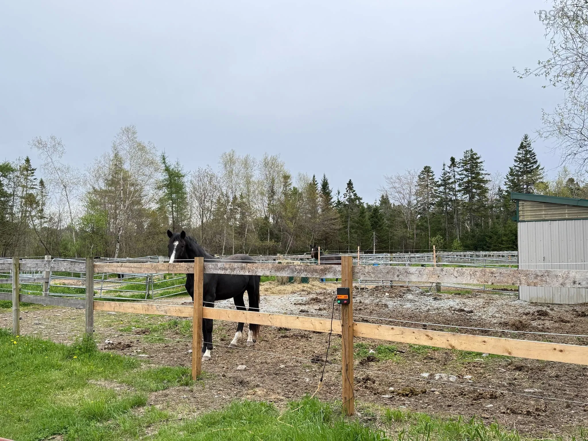 401 Highway, Mount Uniacke, NS B0S 1B0, 2 Bedrooms Bedrooms, ,3 BathroomsBathrooms,Residential,For Sale,Highway 1,202513085