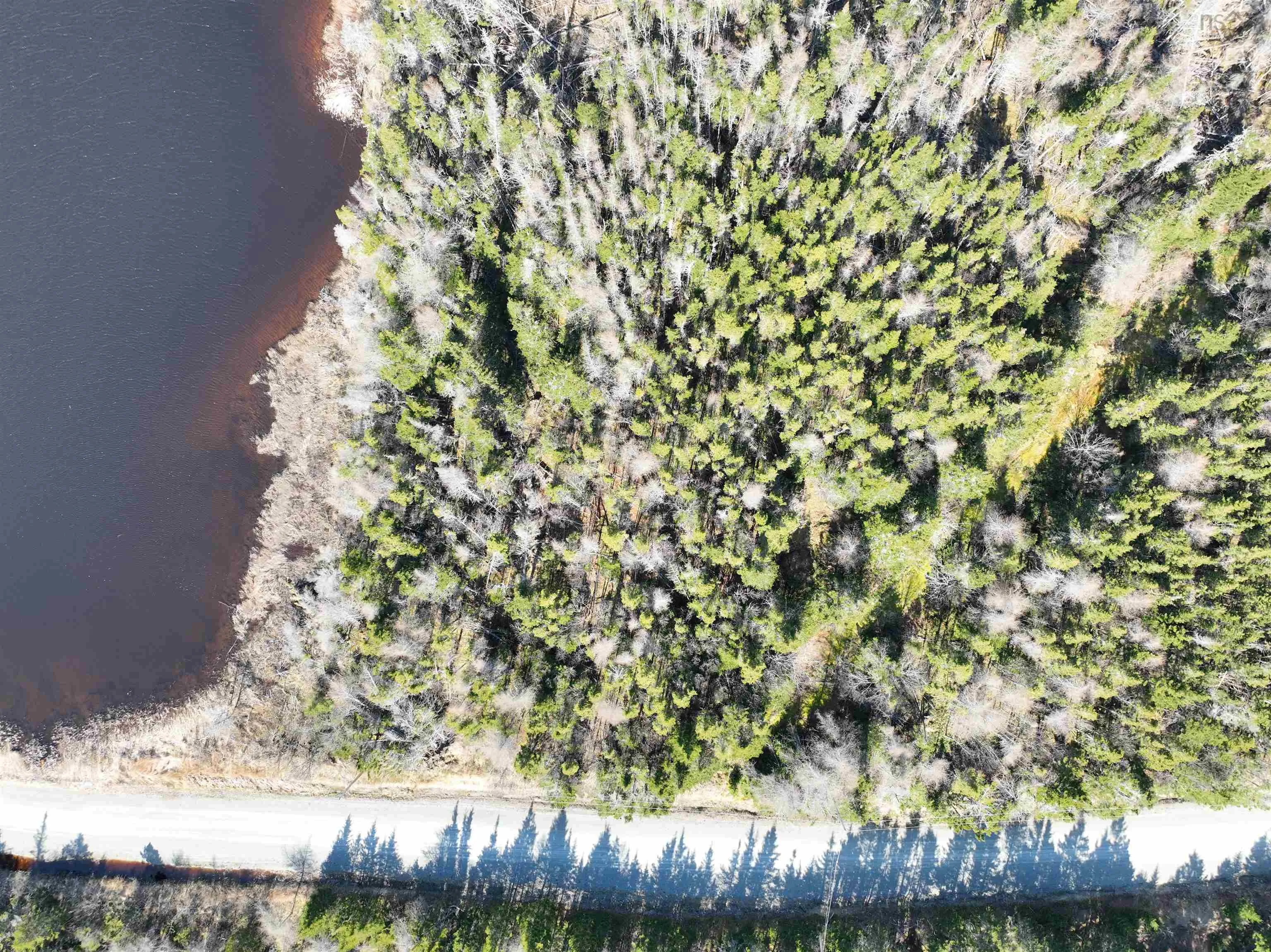 Unit 1 Belfry Road, Gabarus Lake Ns B1k 2e8, ,Land,For Sale,Belfry,202510280