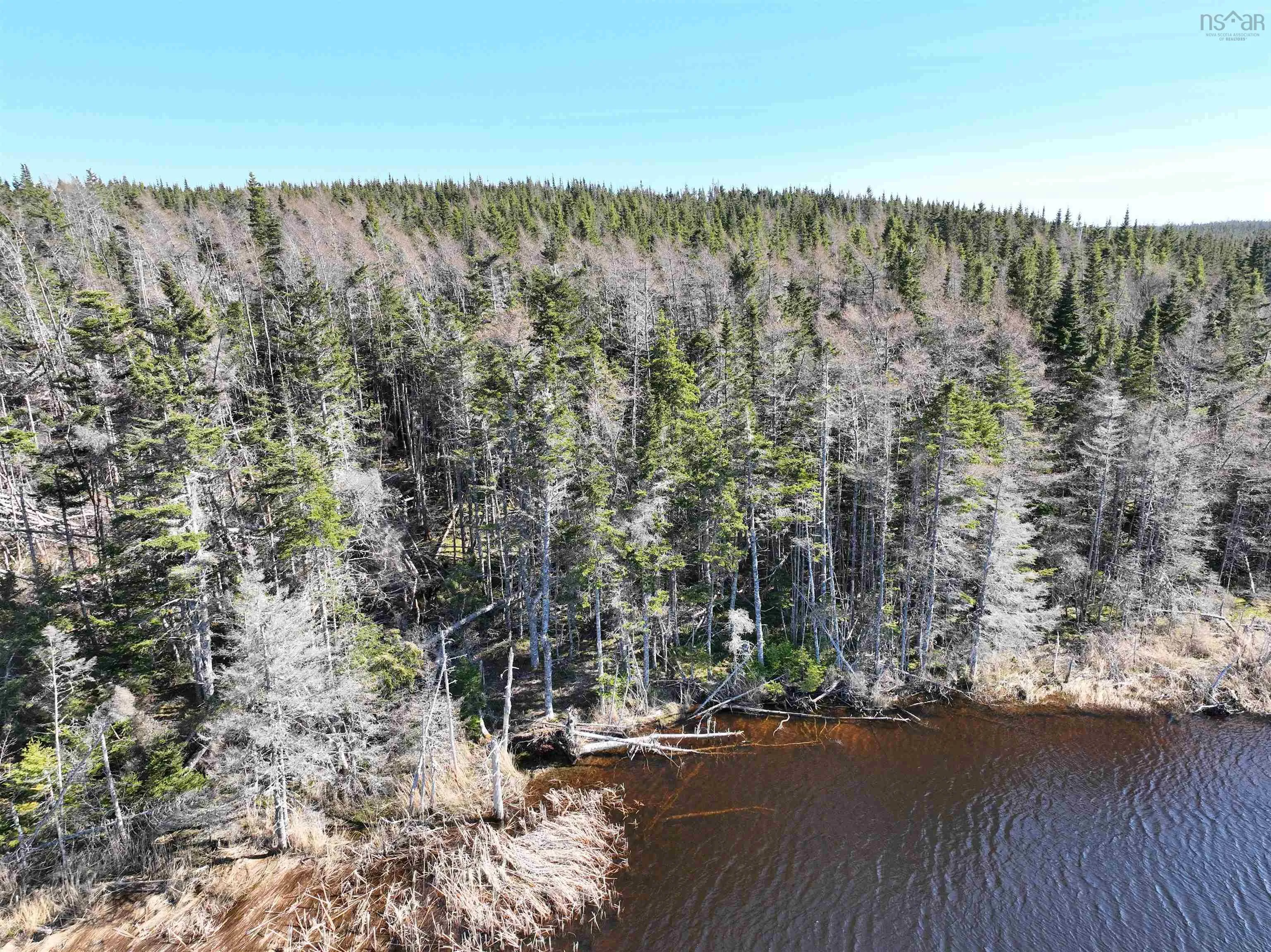 Unit 1 Belfry Road, Gabarus Lake Ns B1k 2e8, ,Land,For Sale,Belfry,202510280
