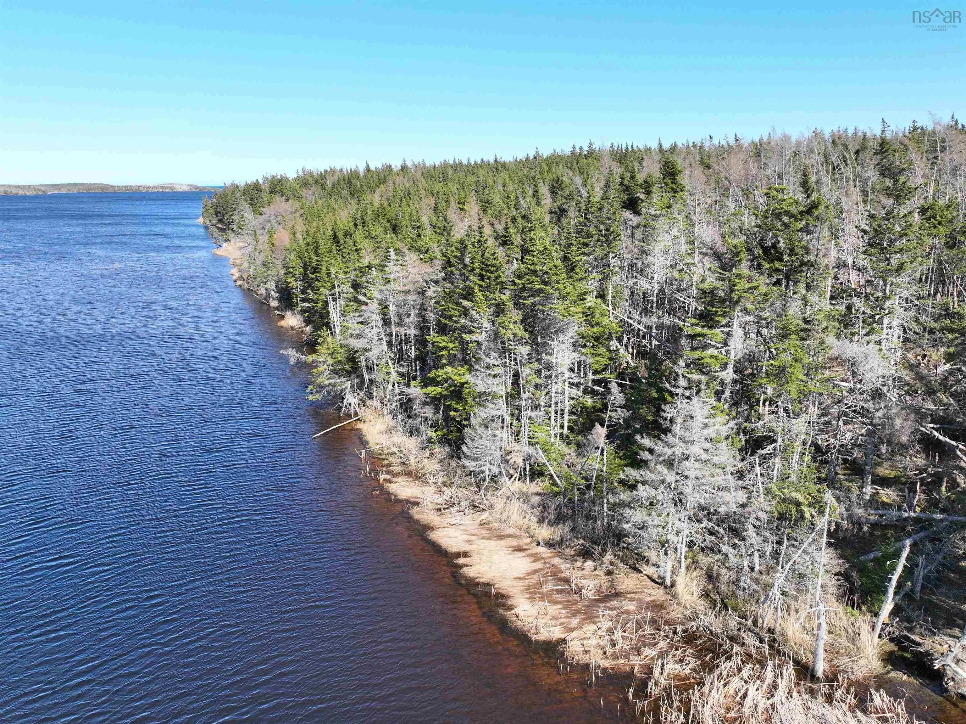 Unit 1 Belfry Road, Gabarus Lake Ns B1k 2e8, ,Land,For Sale,Belfry,202510280
