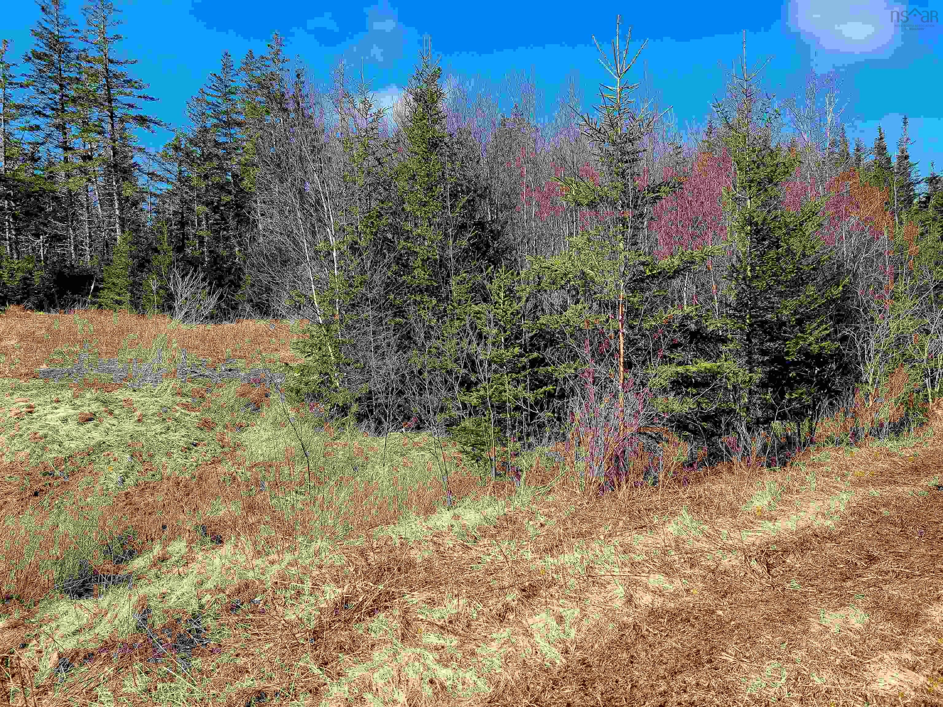 Lot 11 Matway Dr, St. Peters, NS B0E 3B0, ,Land,For Sale,Matway Dr,202520836