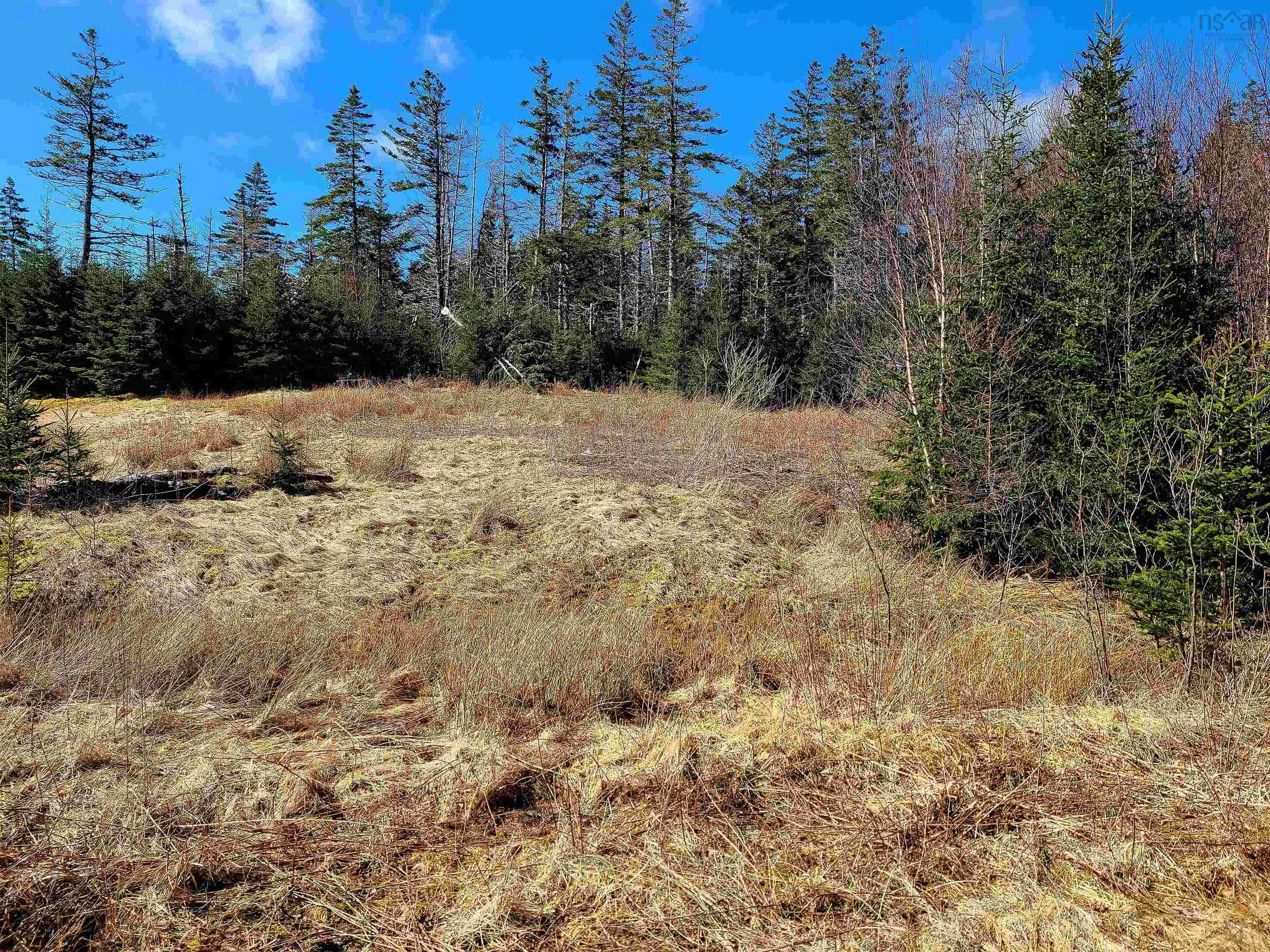 Lot 11 Matway Dr, St. Peters, NS B0E 3B0, ,Land,For Sale,Matway Dr,202520836