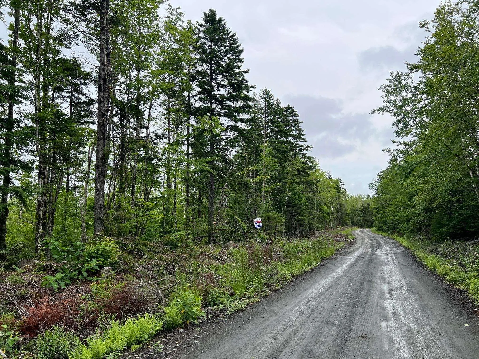 55 Russells Cove Road, Parkdale NS B0R 1A0, ,Land,For Sale,Russells Cove,202400717