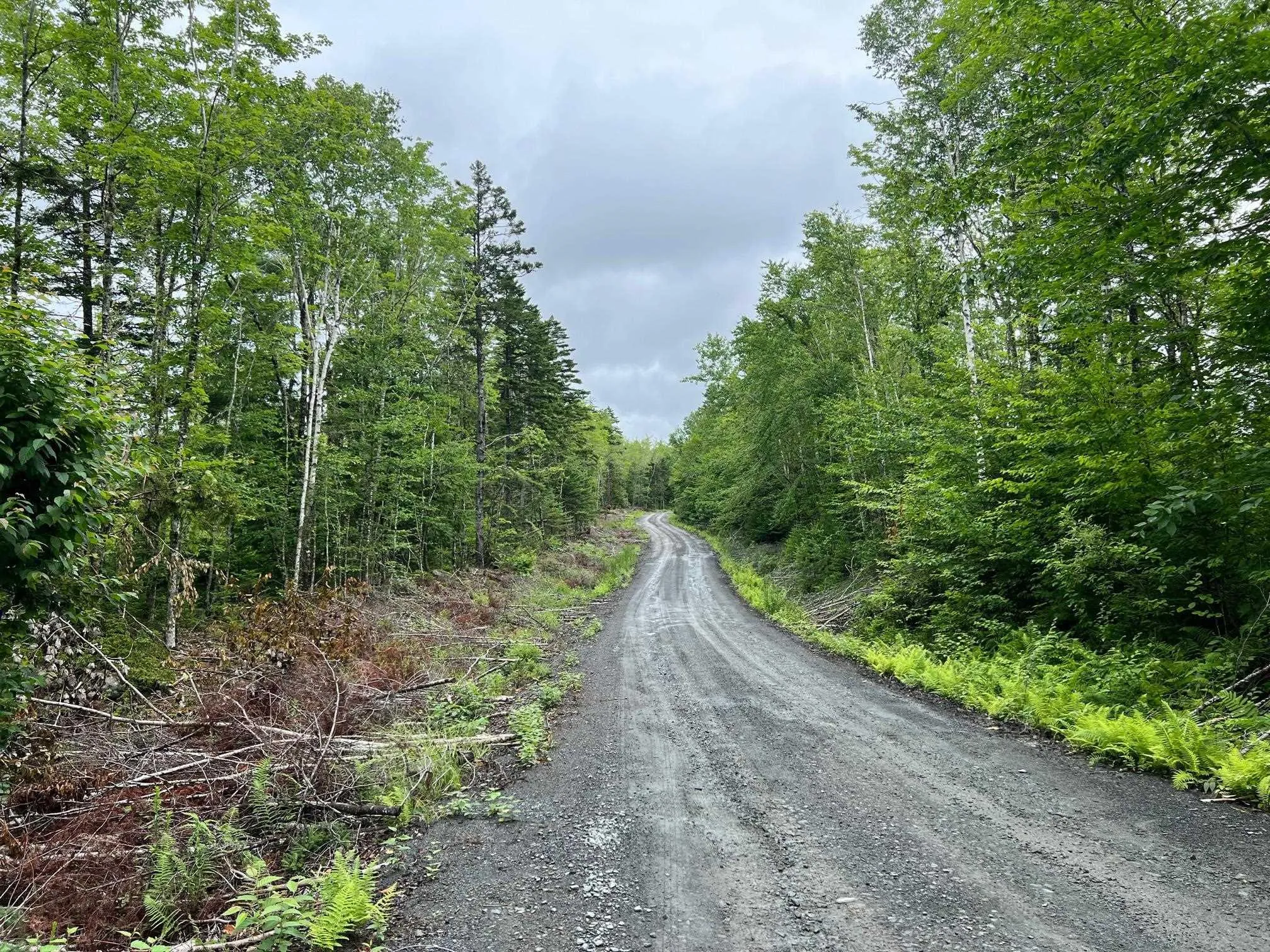 55 Russells Cove Road, Parkdale NS B0R 1A0, ,Land,For Sale,Russells Cove,202400717