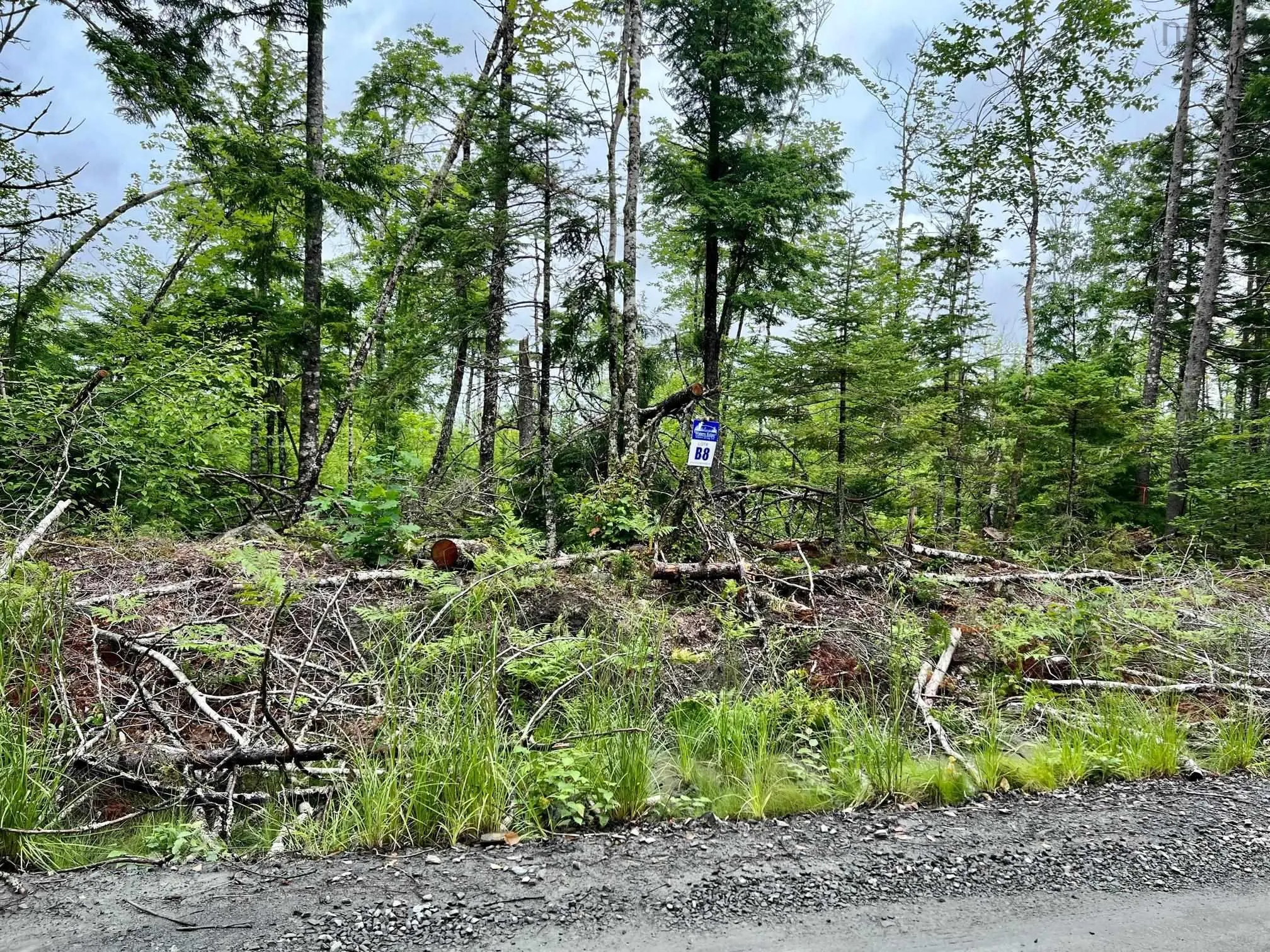 55 Russells Cove Road, Parkdale NS B0R 1A0, ,Land,For Sale,Russells Cove,202400717