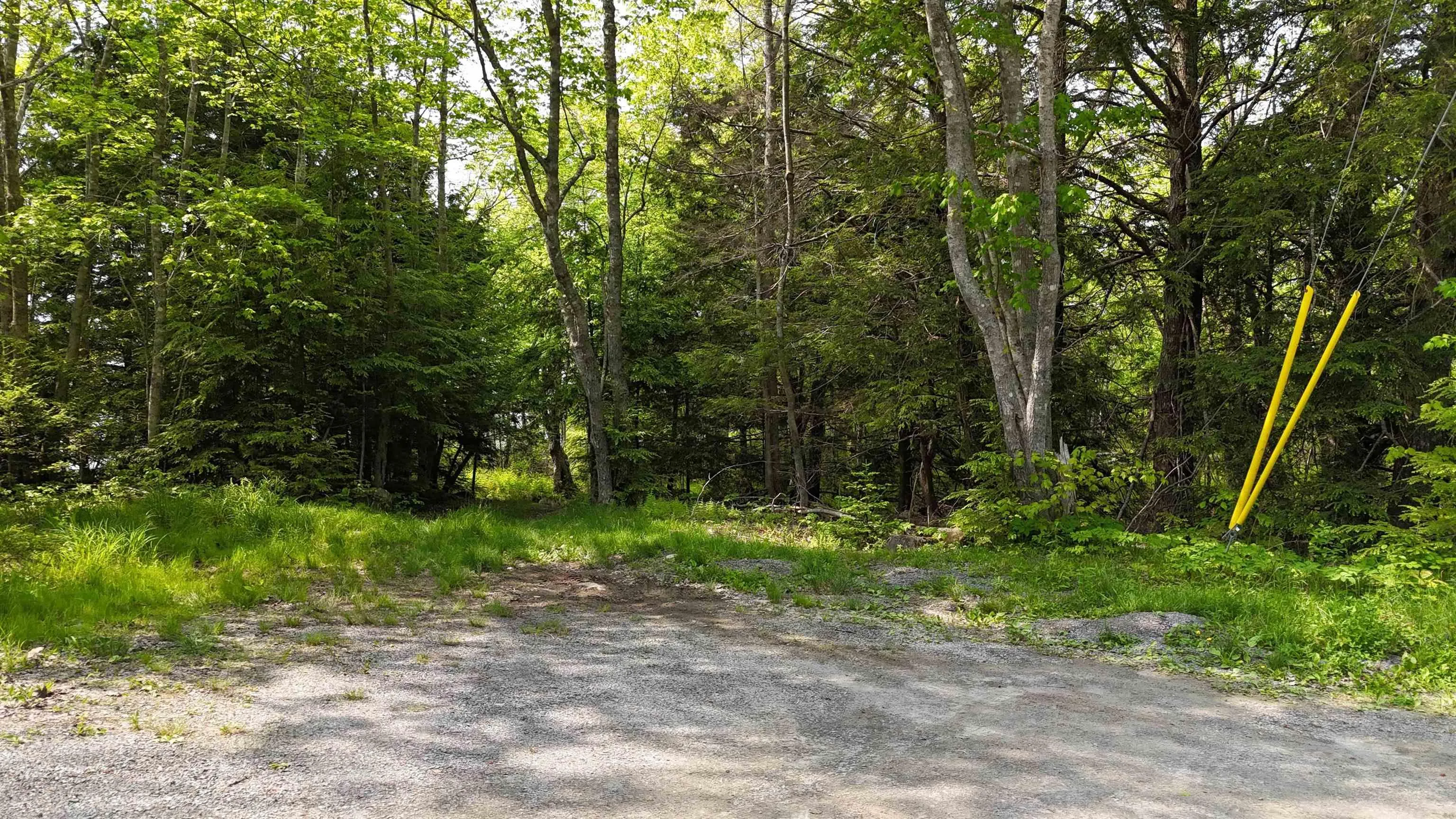 Nathan Croft Road, Camperdown, NS B4V 6T9, ,Land,For Sale,Nathan Croft,202514609
