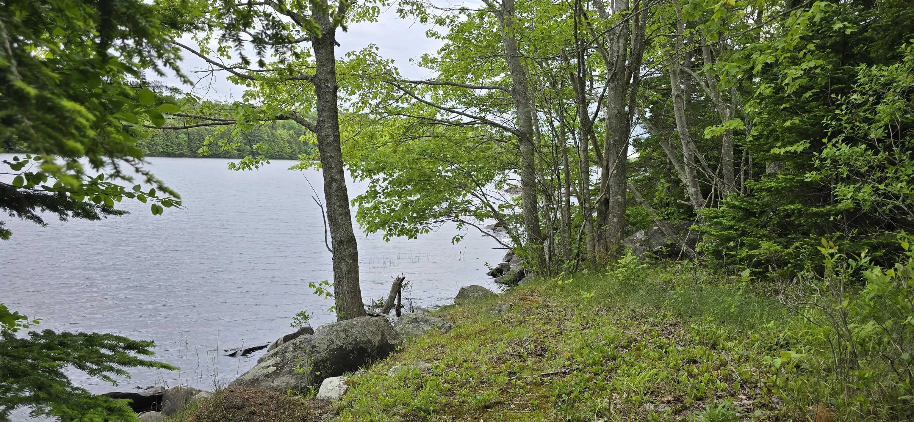Nathan Croft Road, Camperdown, NS B4V 6T9, ,Land,For Sale,Nathan Croft,202514609
