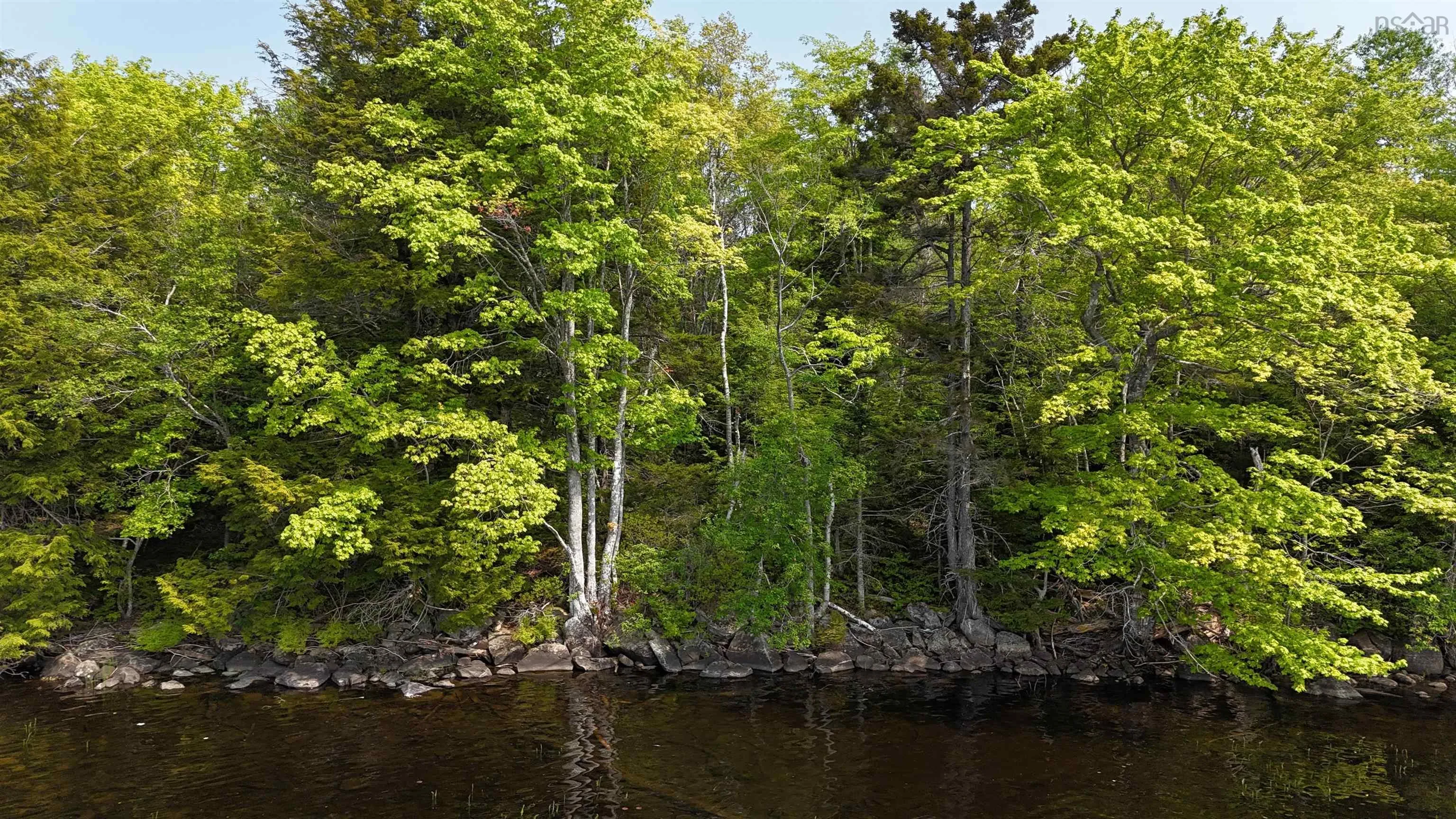 Nathan Croft Road, Camperdown, NS B4V 6T9, ,Land,For Sale,Nathan Croft,202514609
