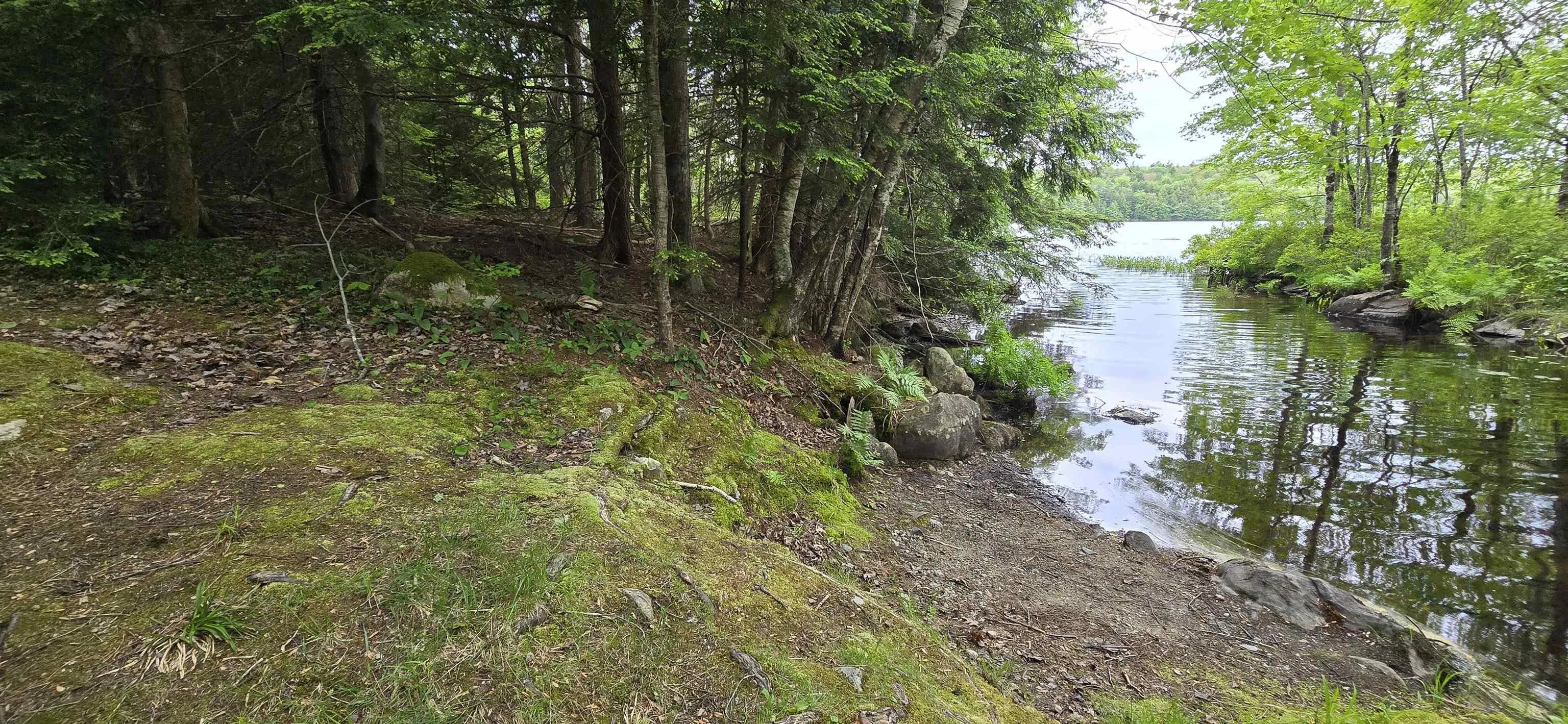 Nathan Croft Road, Camperdown, NS B4V 6T9, ,Land,For Sale,Nathan Croft,202514609