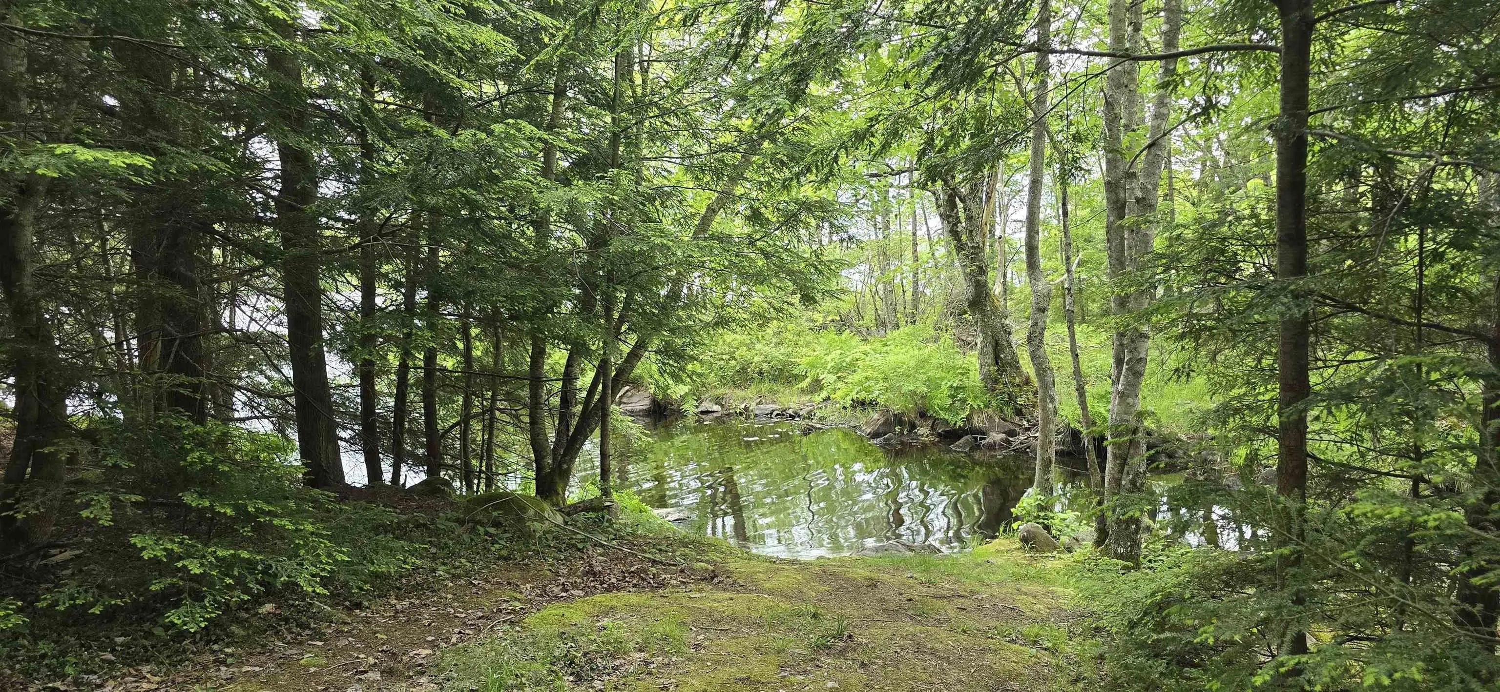 Nathan Croft Road, Camperdown, NS B4V 6T9, ,Land,For Sale,Nathan Croft,202514609