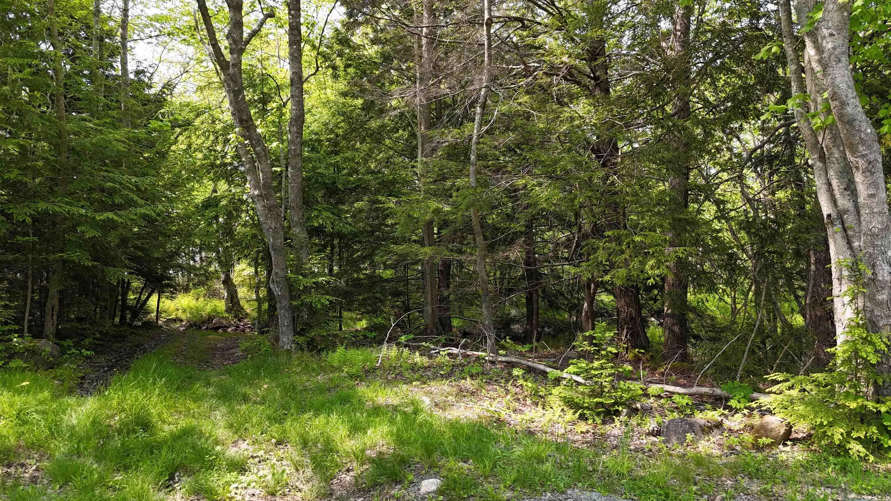 Nathan Croft Road, Camperdown, NS B4V 6T9, ,Land,For Sale,Nathan Croft,202514609