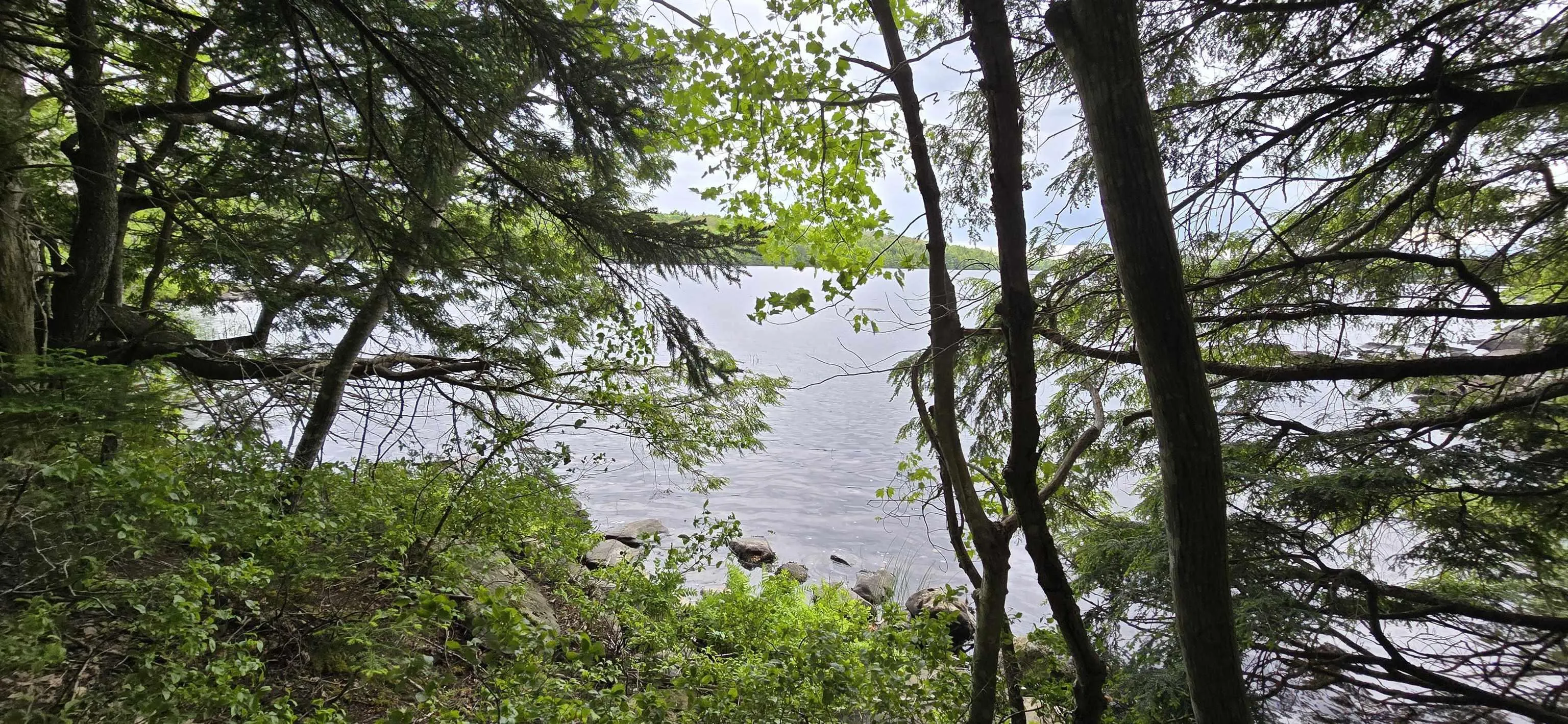 Nathan Croft Road, Camperdown, NS B4V 6T9, ,Land,For Sale,Nathan Croft,202514609