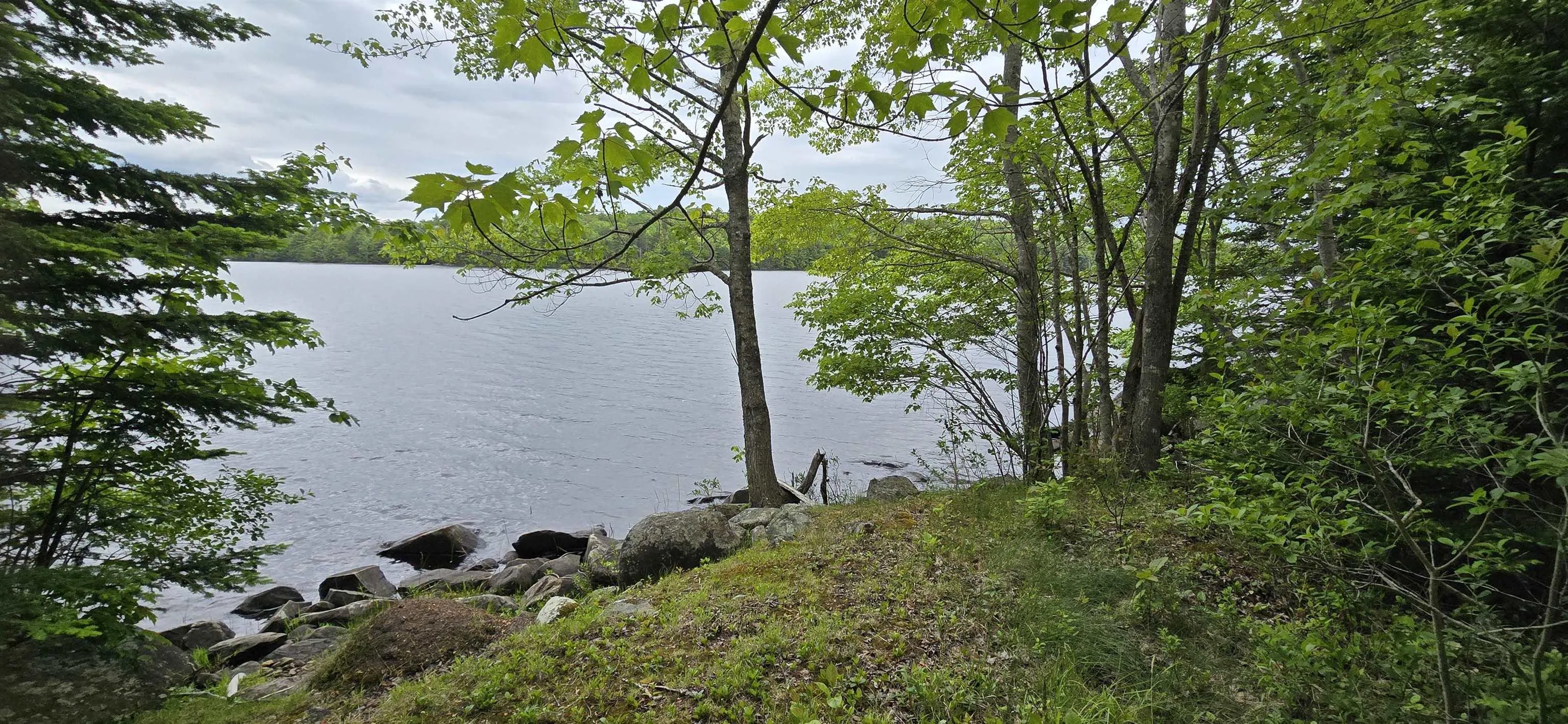 Nathan Croft Road, Camperdown, NS B4V 6T9, ,Land,For Sale,Nathan Croft,202514609