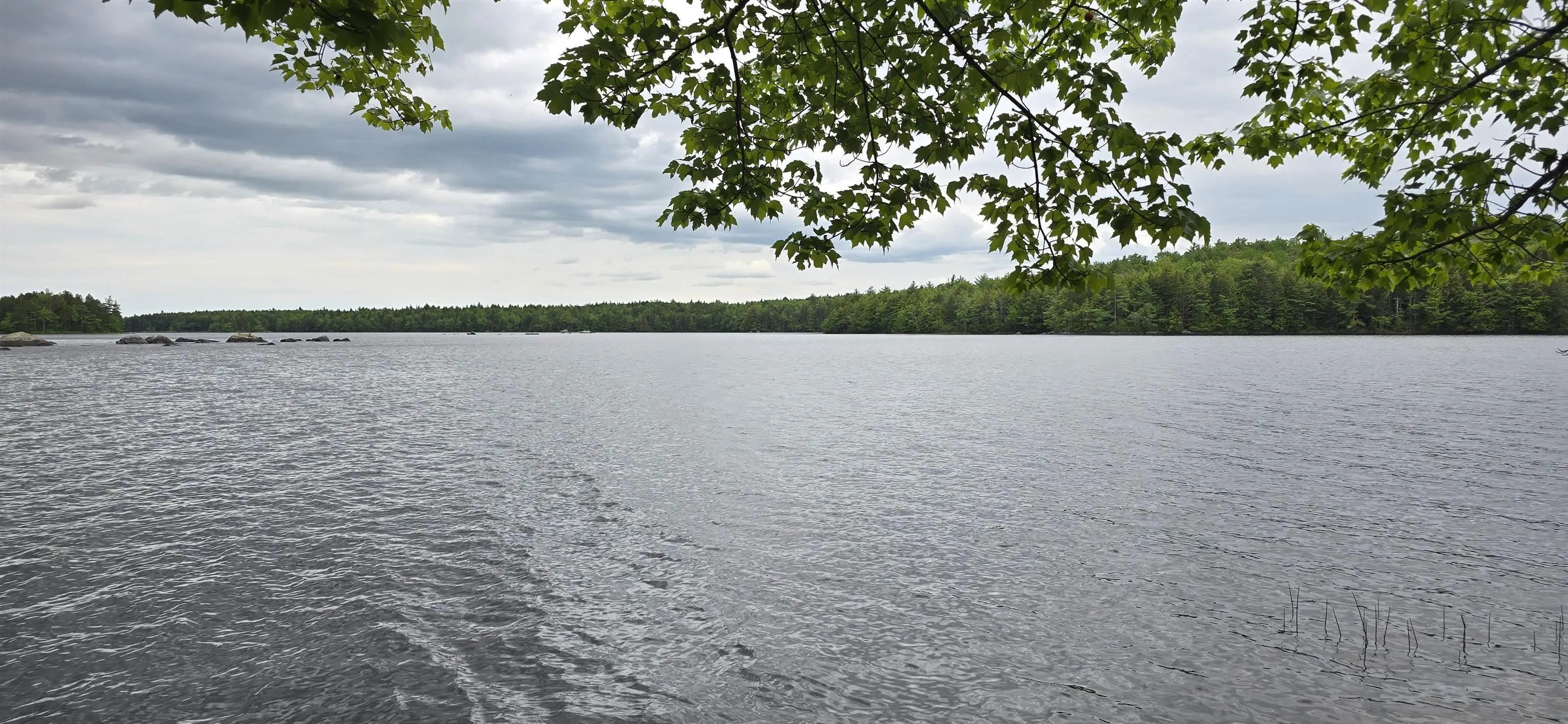 Nathan Croft Road, Camperdown, NS B4V 6T9, ,Land,For Sale,Nathan Croft,202514609