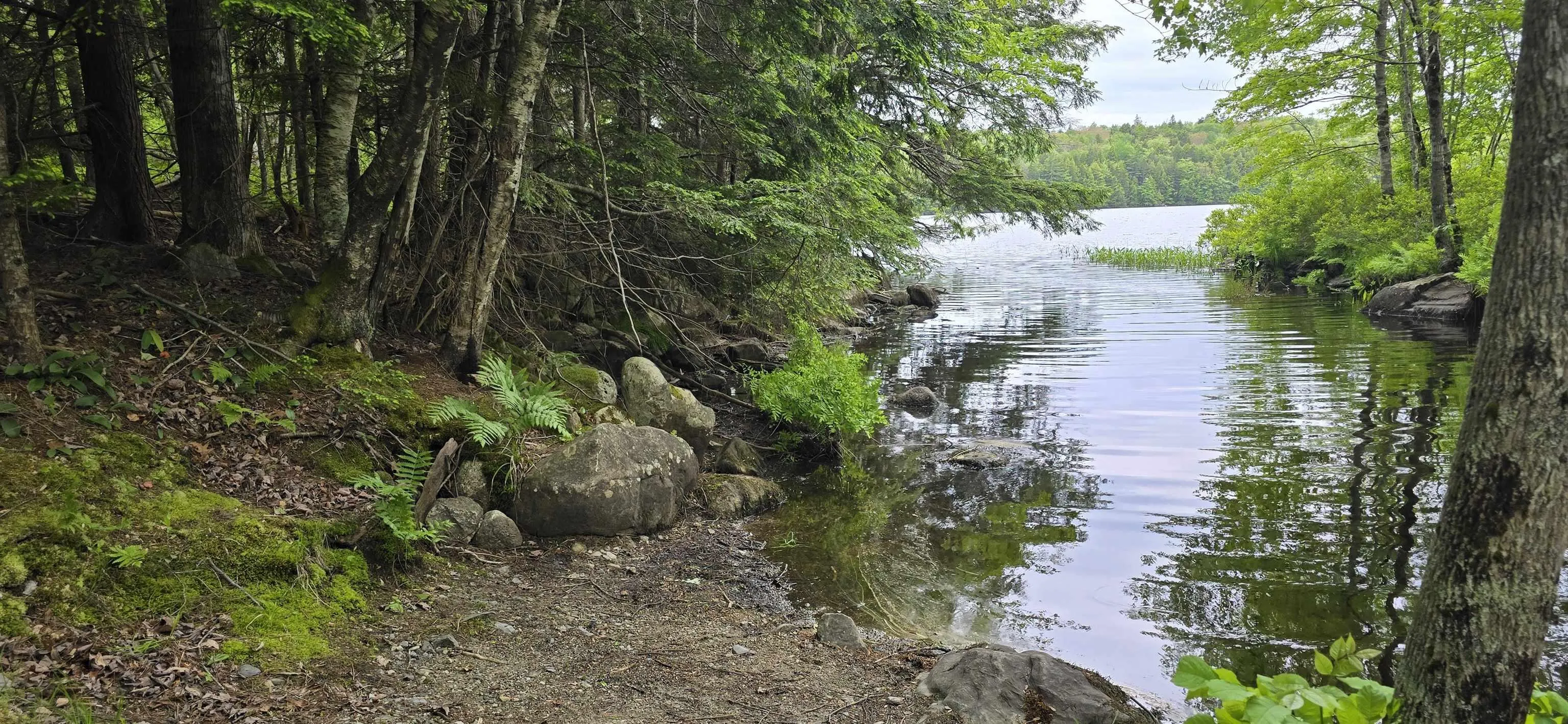 Nathan Croft Road, Camperdown, NS B4V 6T9, ,Land,For Sale,Nathan Croft,202514609