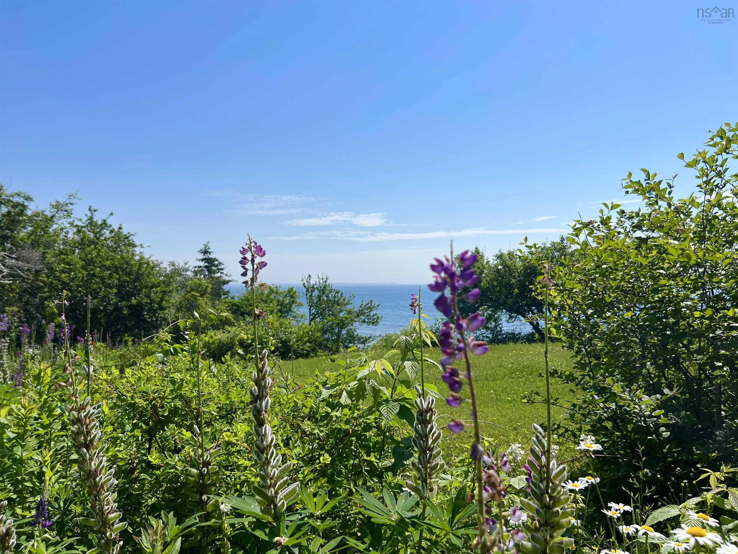 7246 Highway 331, Broad Cove Ns B4v 6p2, 2 Bedrooms Bedrooms, ,1 BathroomBathrooms,Residential,For Sale,Highway 331,202506437