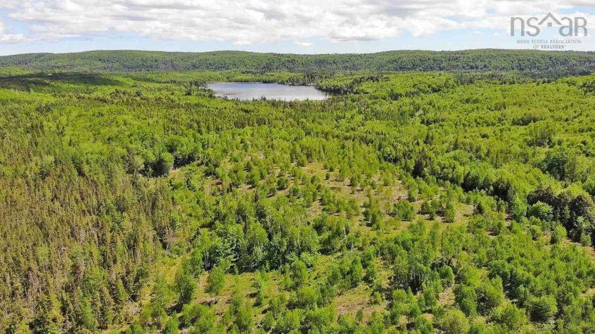 116.5 Acres 348 Highway, Smithfield Ns B0h 1e0, ,Land,For Sale,348,202403305