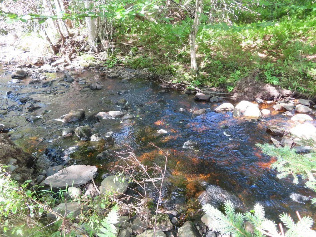 116.5 Acres 348 Highway, Smithfield Ns B0h 1e0, ,Land,For Sale,348,202403305