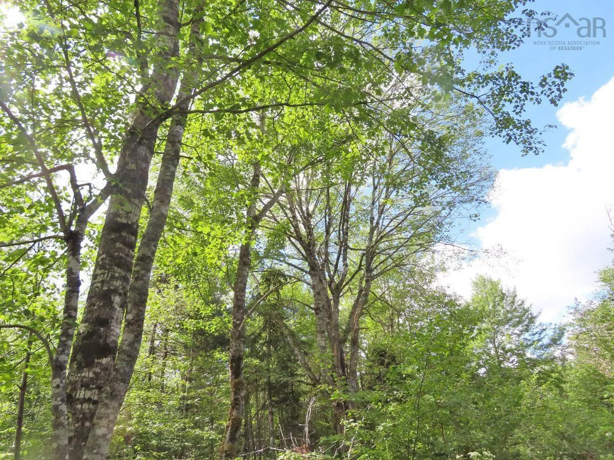 116.5 Acres 348 Highway, Smithfield Ns B0h 1e0, ,Land,For Sale,348,202403305