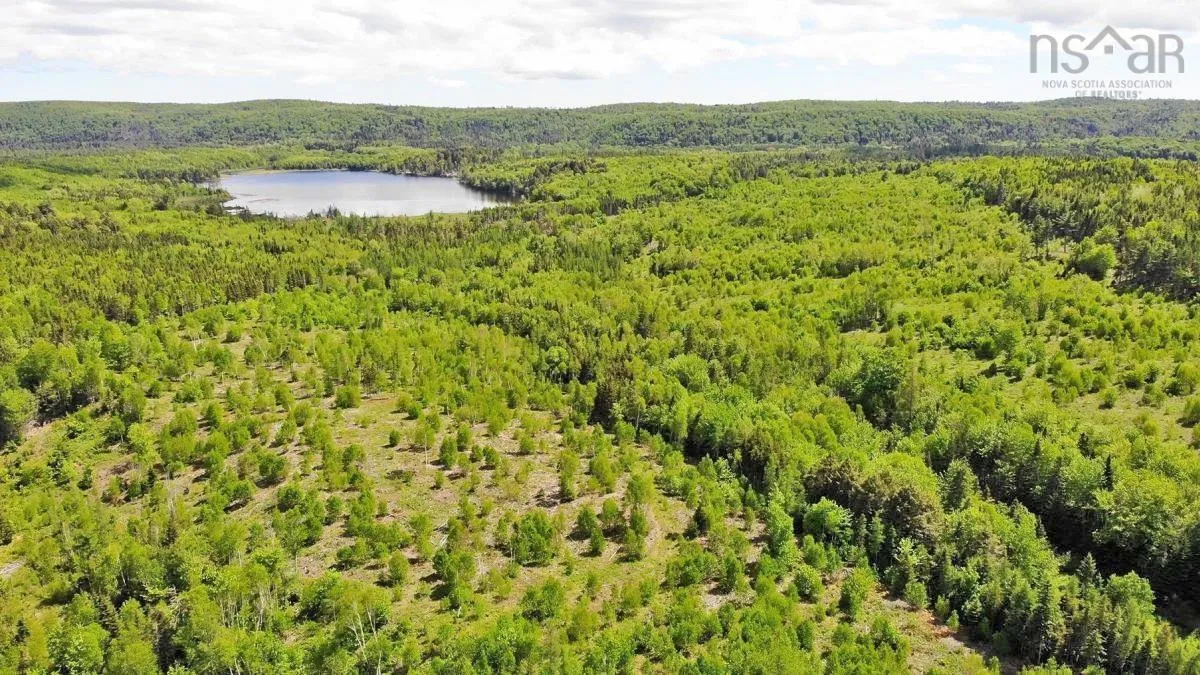 116.5 Acres 348 Highway, Smithfield Ns B0h 1e0, ,Land,For Sale,348,202403305