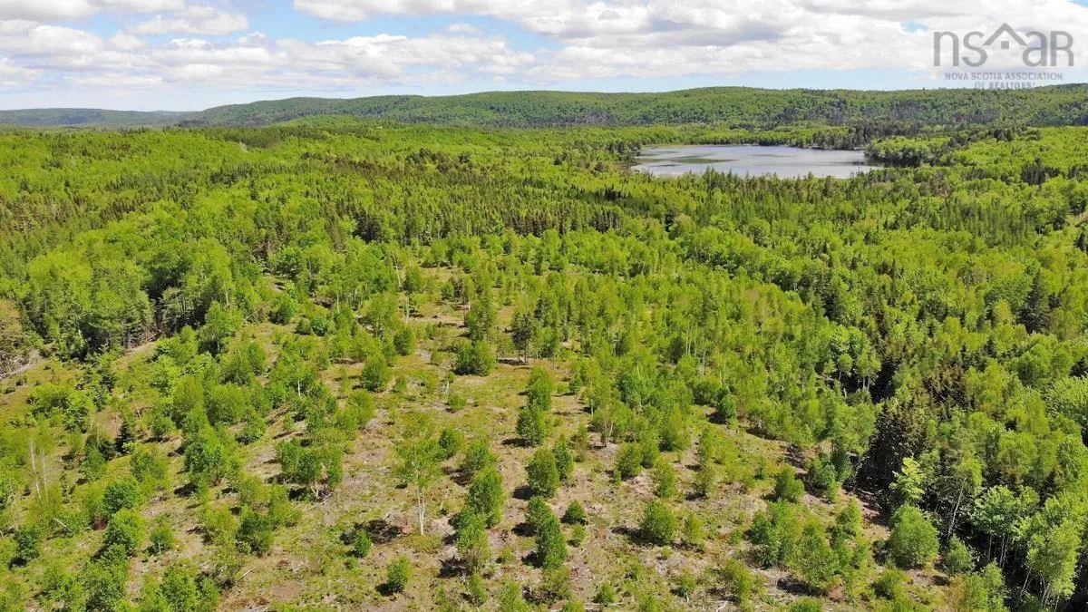 116.5 Acres 348 Highway, Smithfield Ns B0h 1e0, ,Land,For Sale,348,202403305