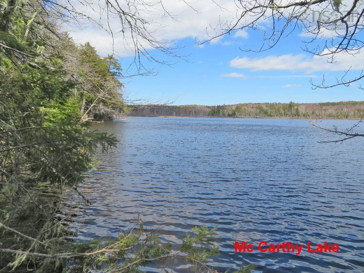 116.5 Acres 348 Highway, Smithfield Ns B0h 1e0, ,Land,For Sale,348,202403305