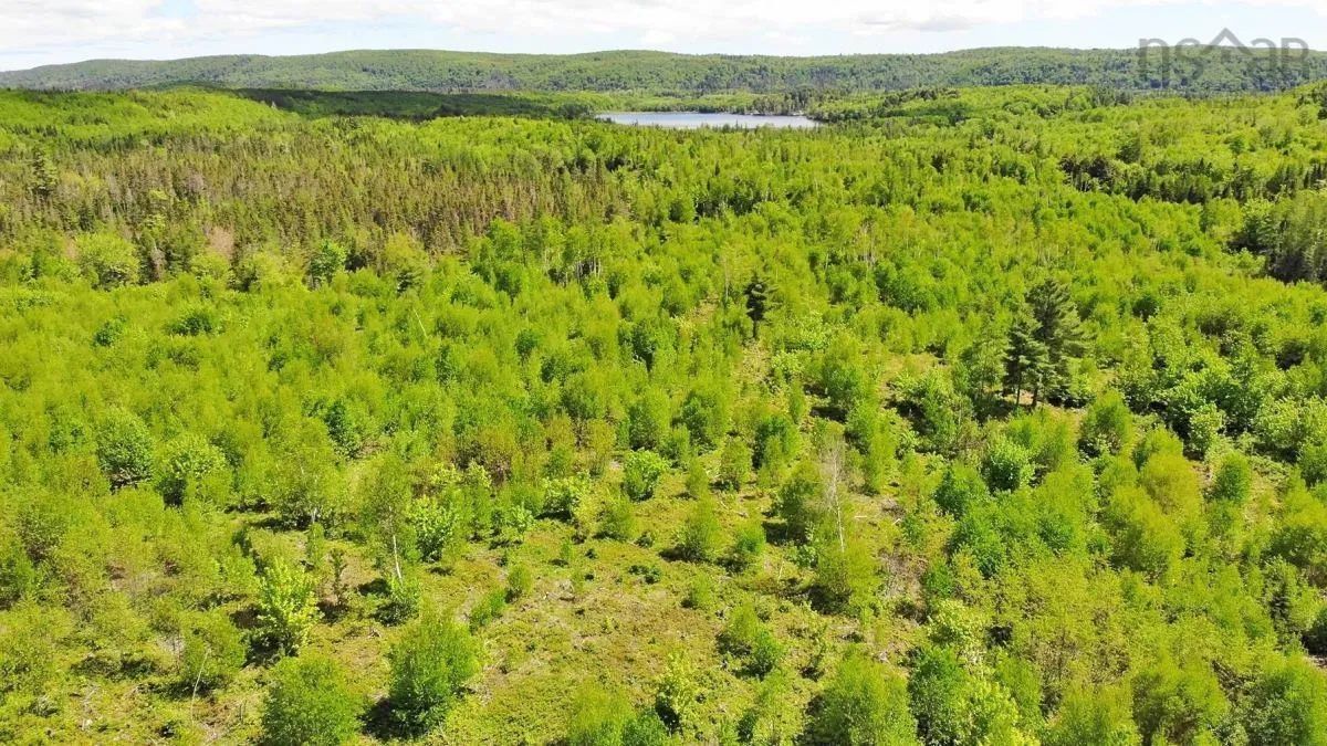 116.5 Acres 348 Highway, Smithfield Ns B0h 1e0, ,Land,For Sale,348,202403305