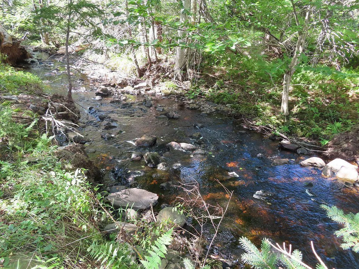 116.5 Acres 348 Highway, Smithfield Ns B0h 1e0, ,Land,For Sale,348,202403305