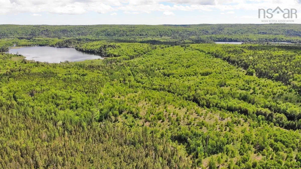 116.5 Acres 348 Highway, Smithfield Ns B0h 1e0, ,Land,For Sale,348,202403305