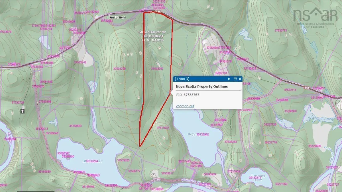 116.5 Acres 348 Highway, Smithfield Ns B0h 1e0, ,Land,For Sale,348,202403305