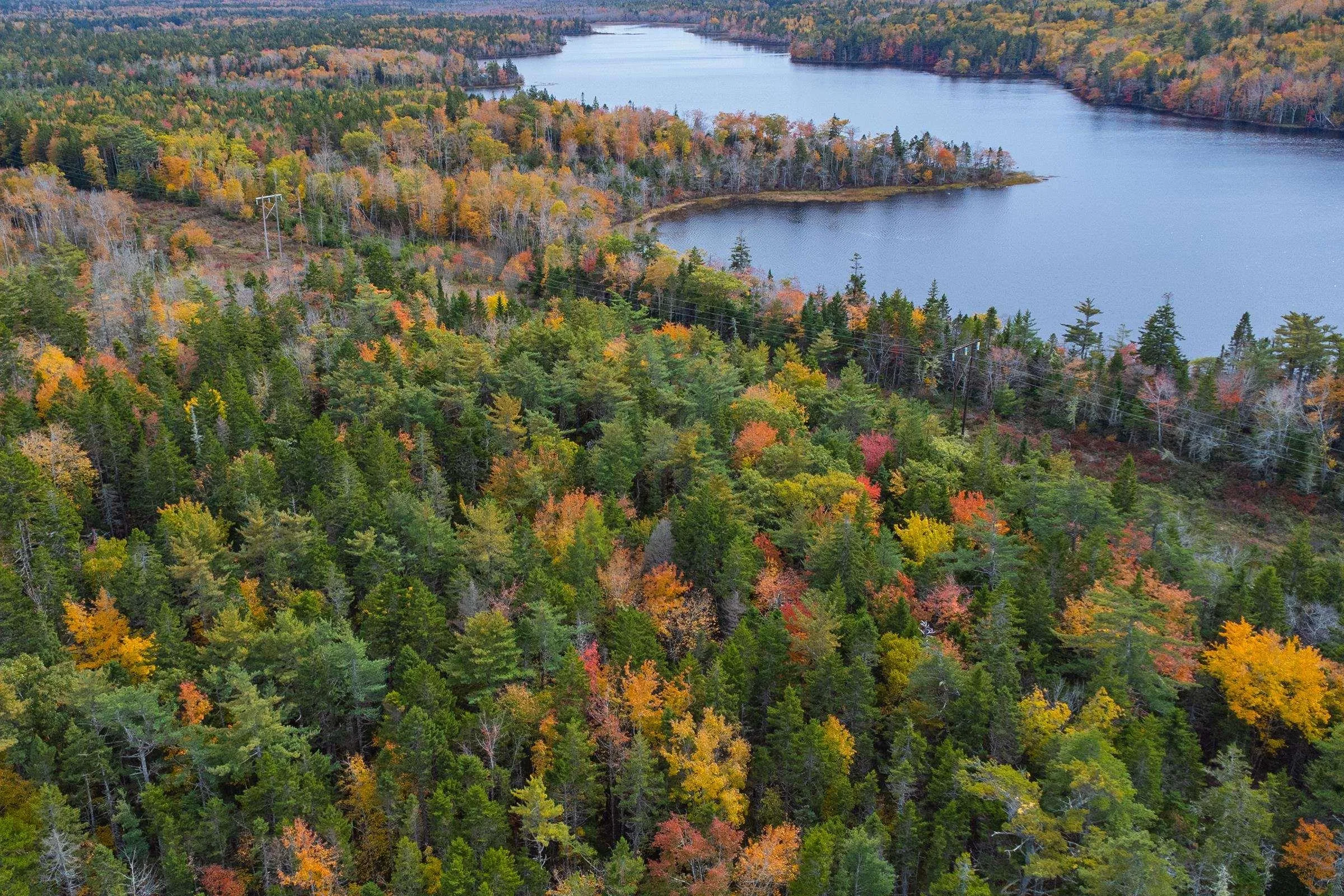 John Murray Road, Belleville South Ns B0w 3m0, ,Land,For Sale,John Murray,202425210